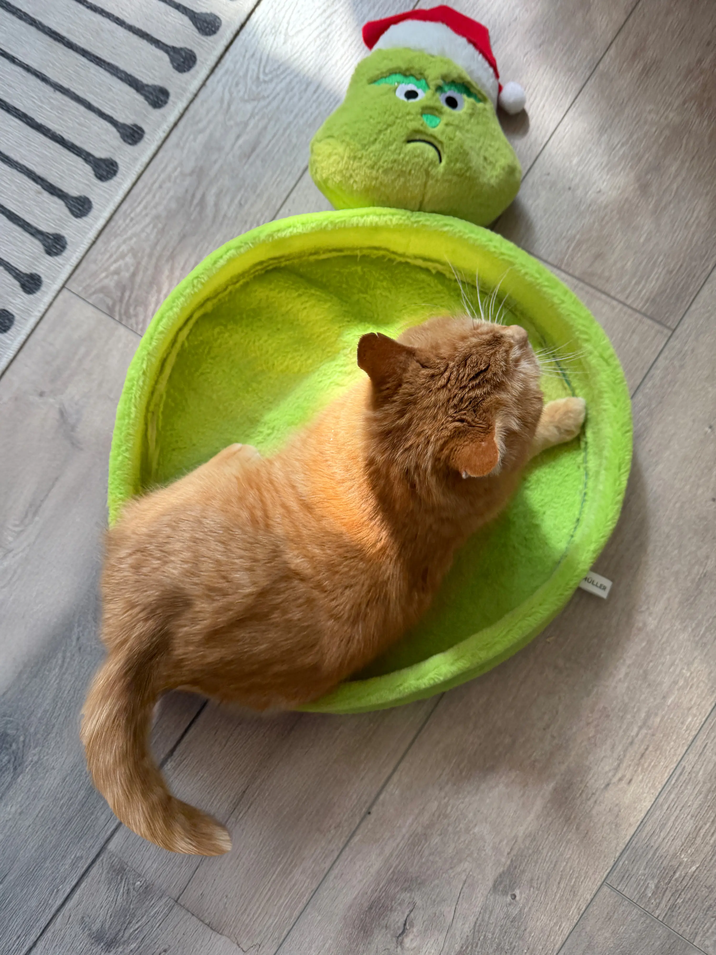 Aumüller Katzenspielzeug Weihnachtsmuffel Kratzpappe 58 cm grün
