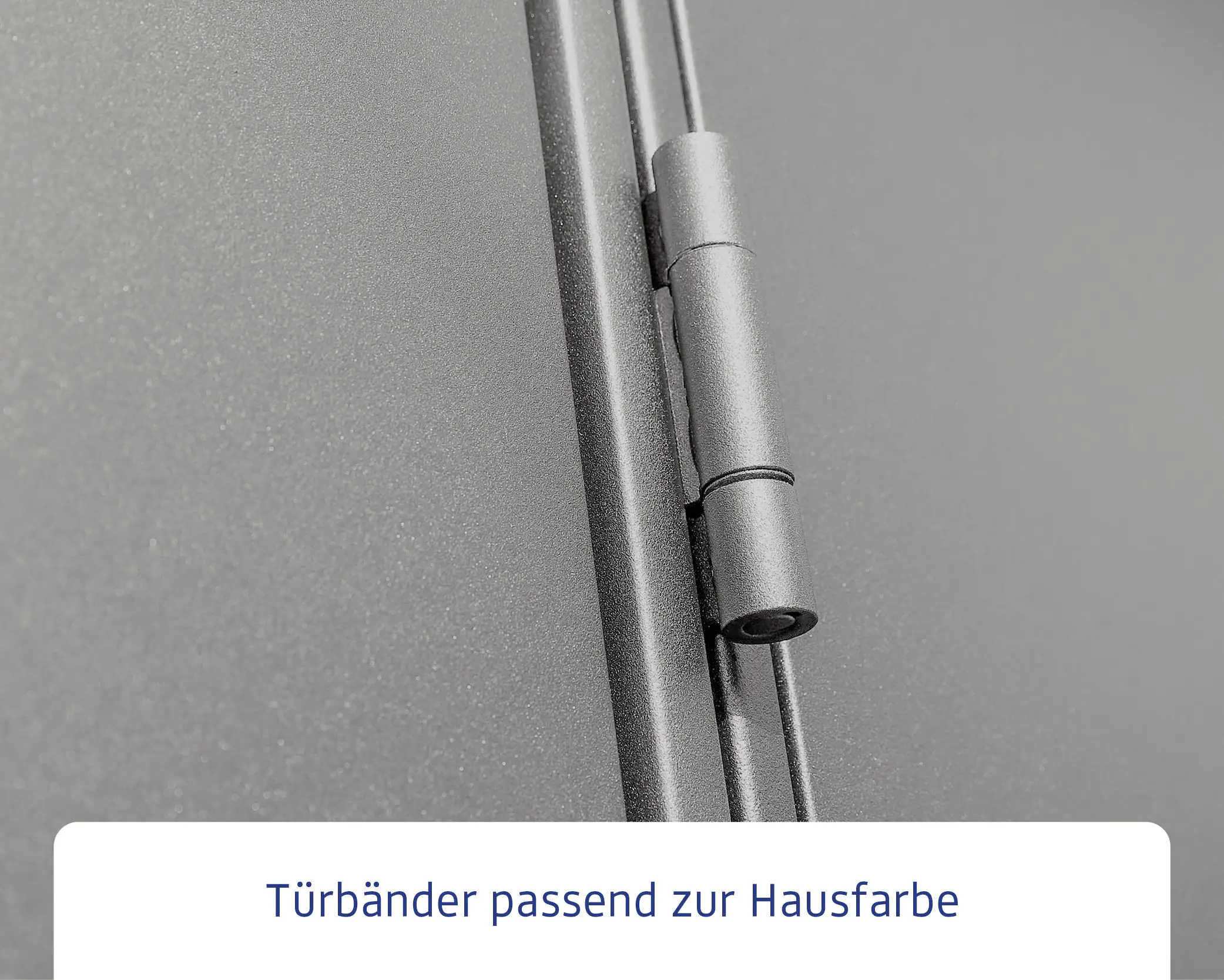 EcoStar Gerätehaus Elegant-P Typ 1 graualuminium 247,9 x 153 x 228,6 cm