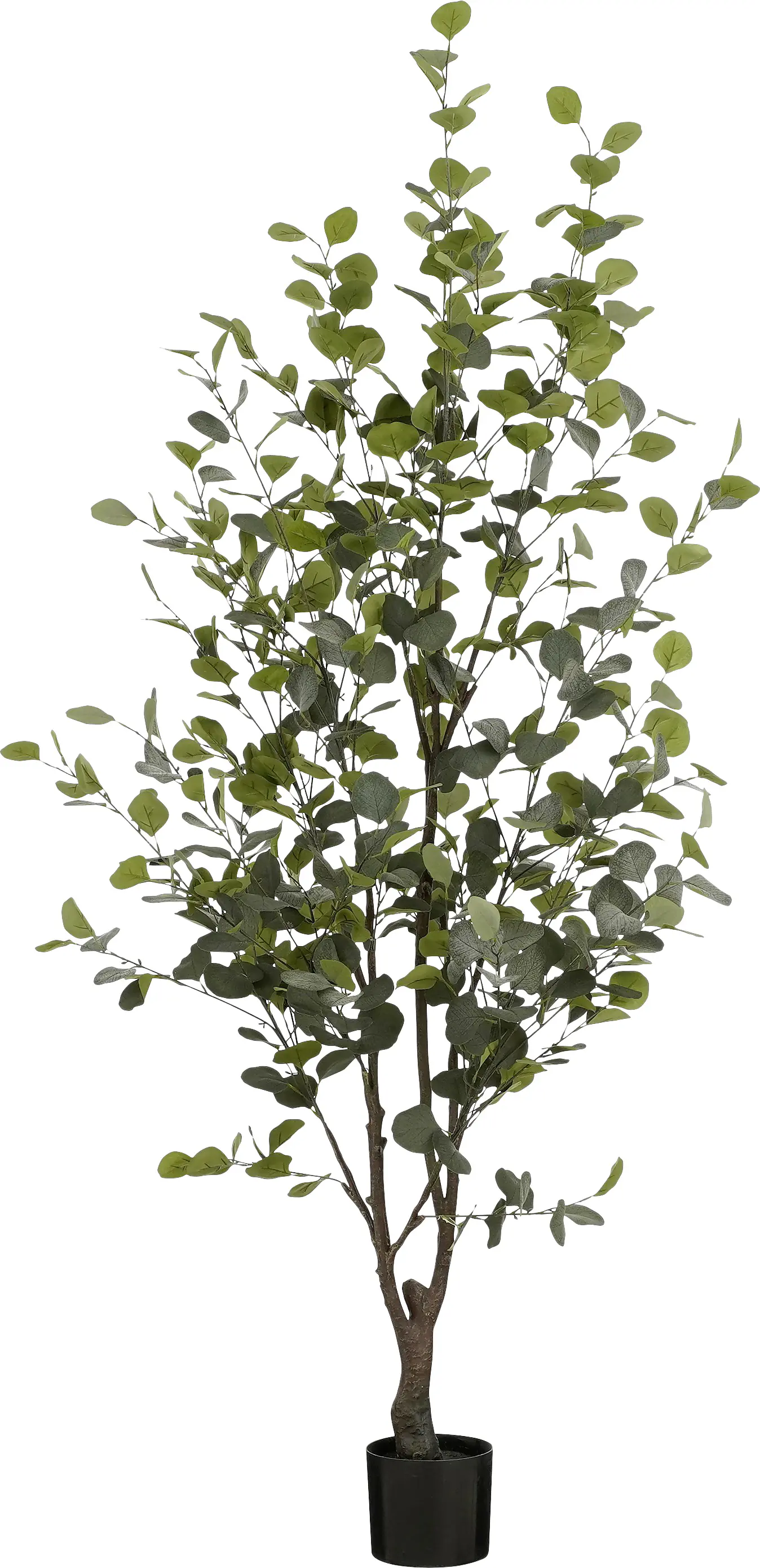 Mica Kunstpflanze Eukalyptusbaum grün 180 cm
