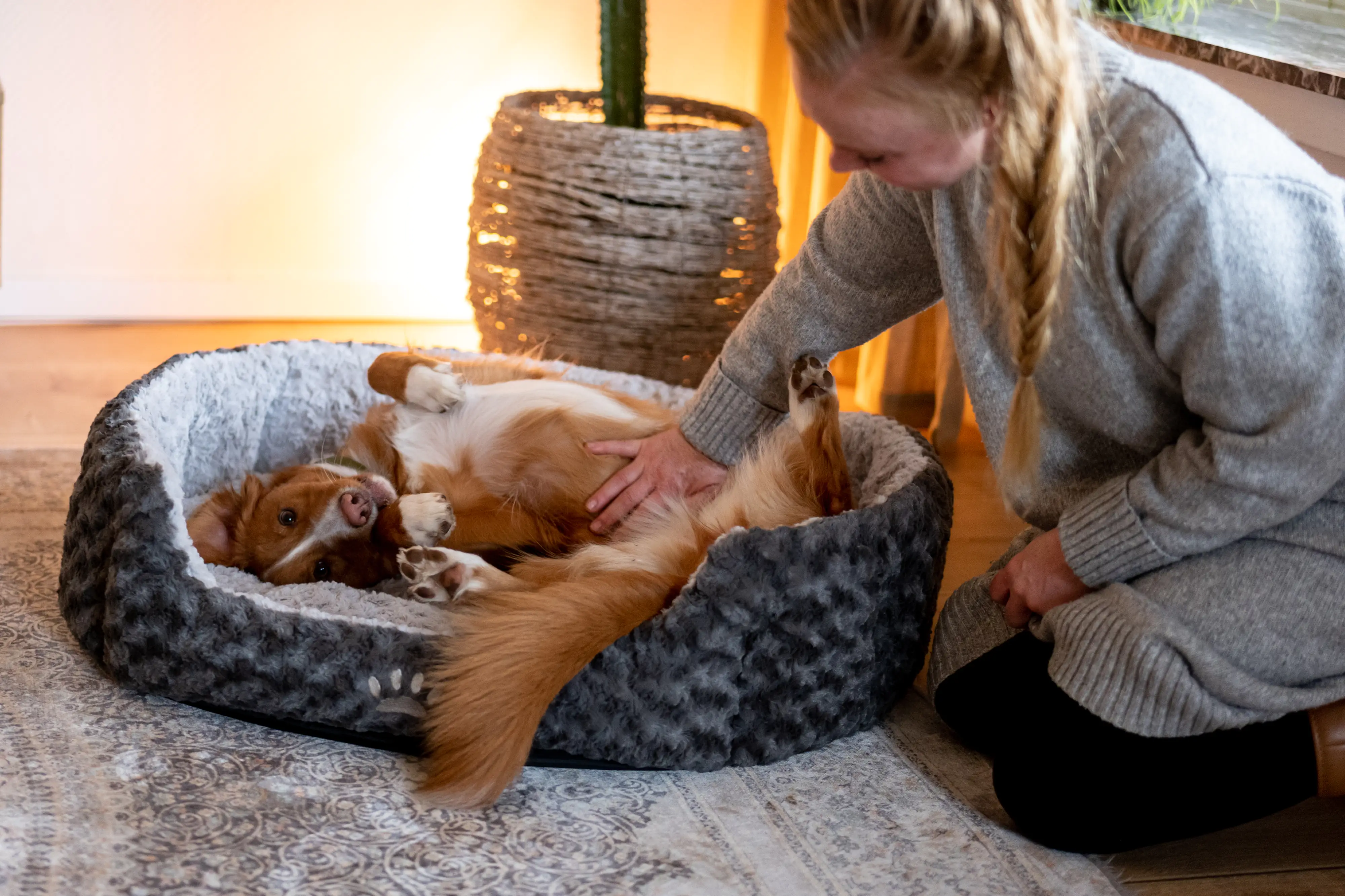 Nobby Komfortbett Seoli oval dunkelgrau/hellgrau