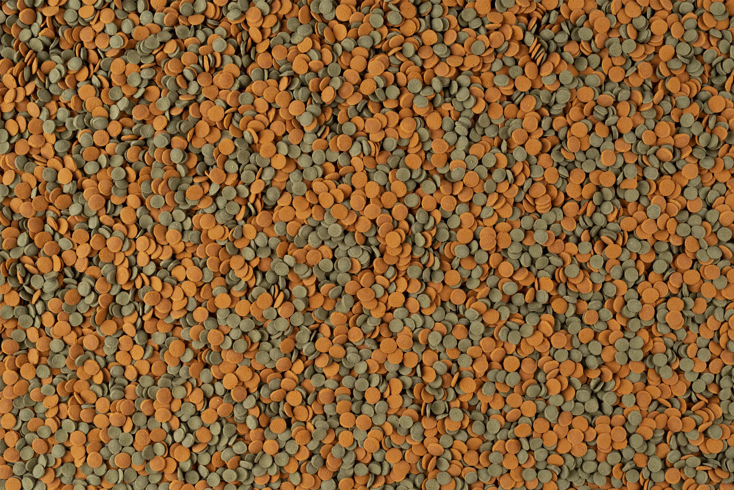 Tetra Zierfischfutter Wafer Mix 250 ml