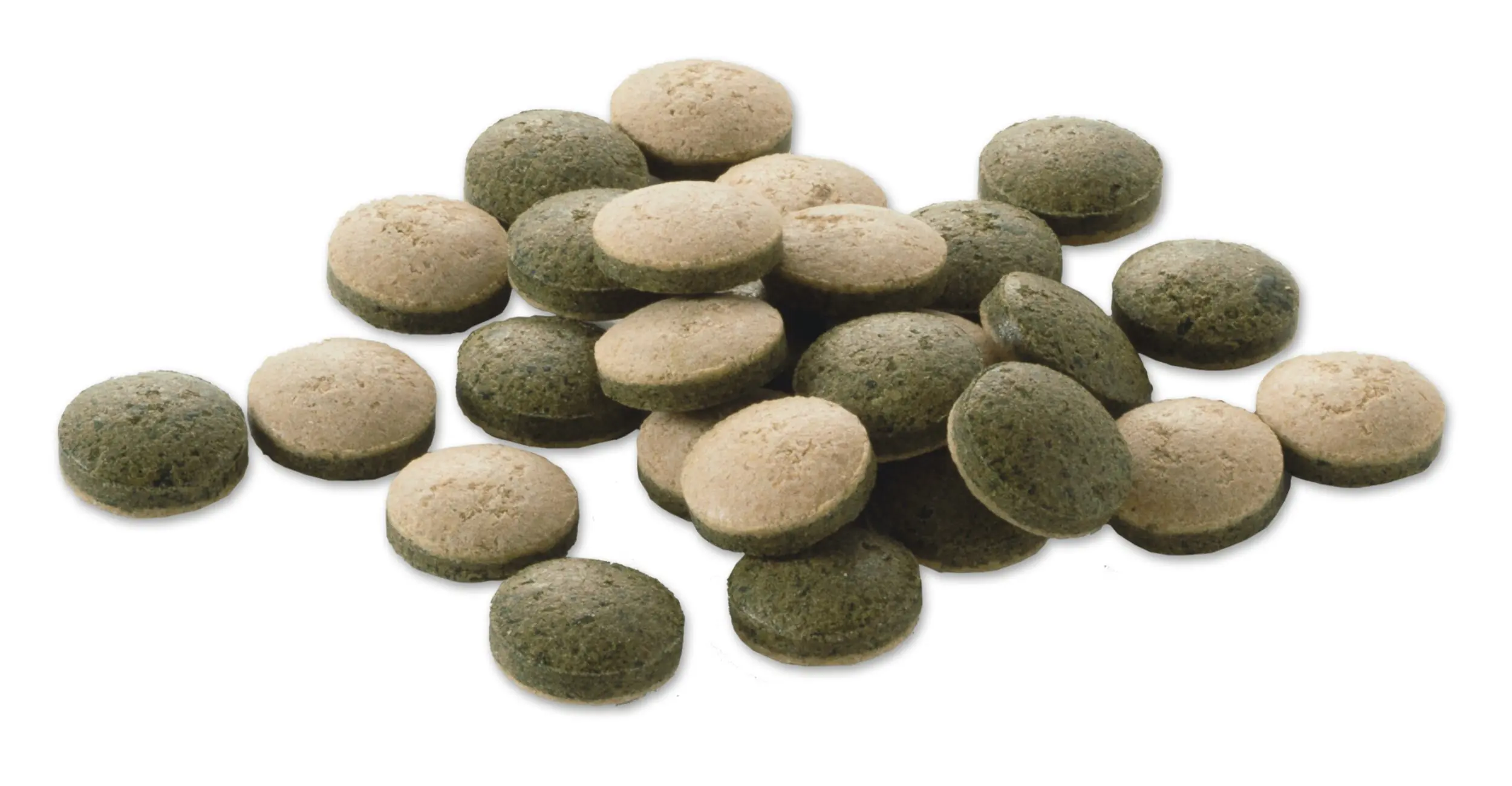 Tetra Pleco Tablets 58 58 Tabletten