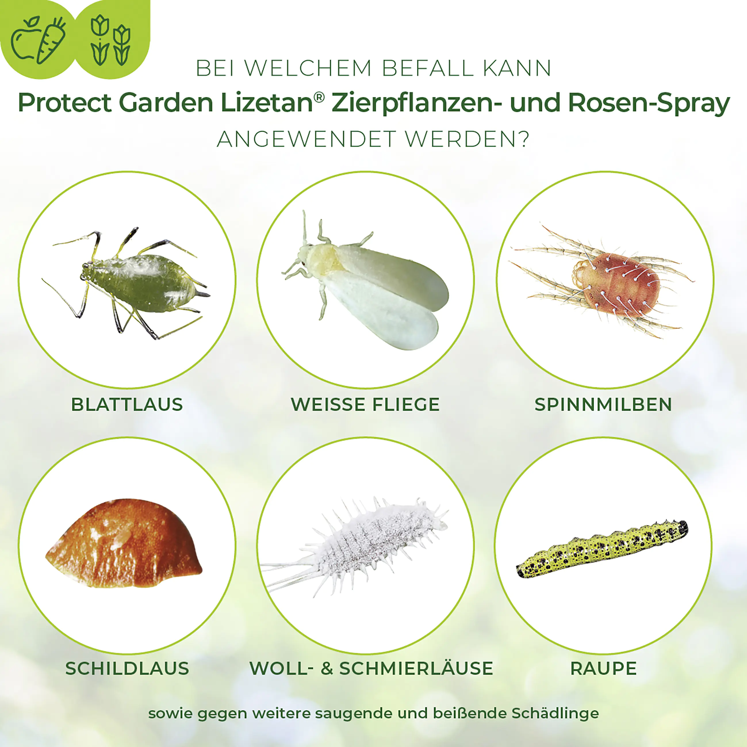 Protect Garden Lizetan Zierpflanzen- & Rosen-Spray AF 500 ml