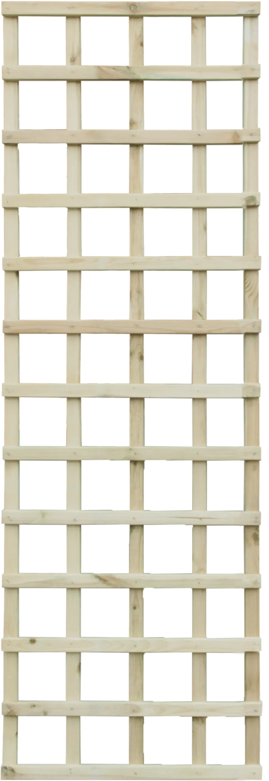 Rankgitter 60 x 180 cm kesseldruckimprägniert