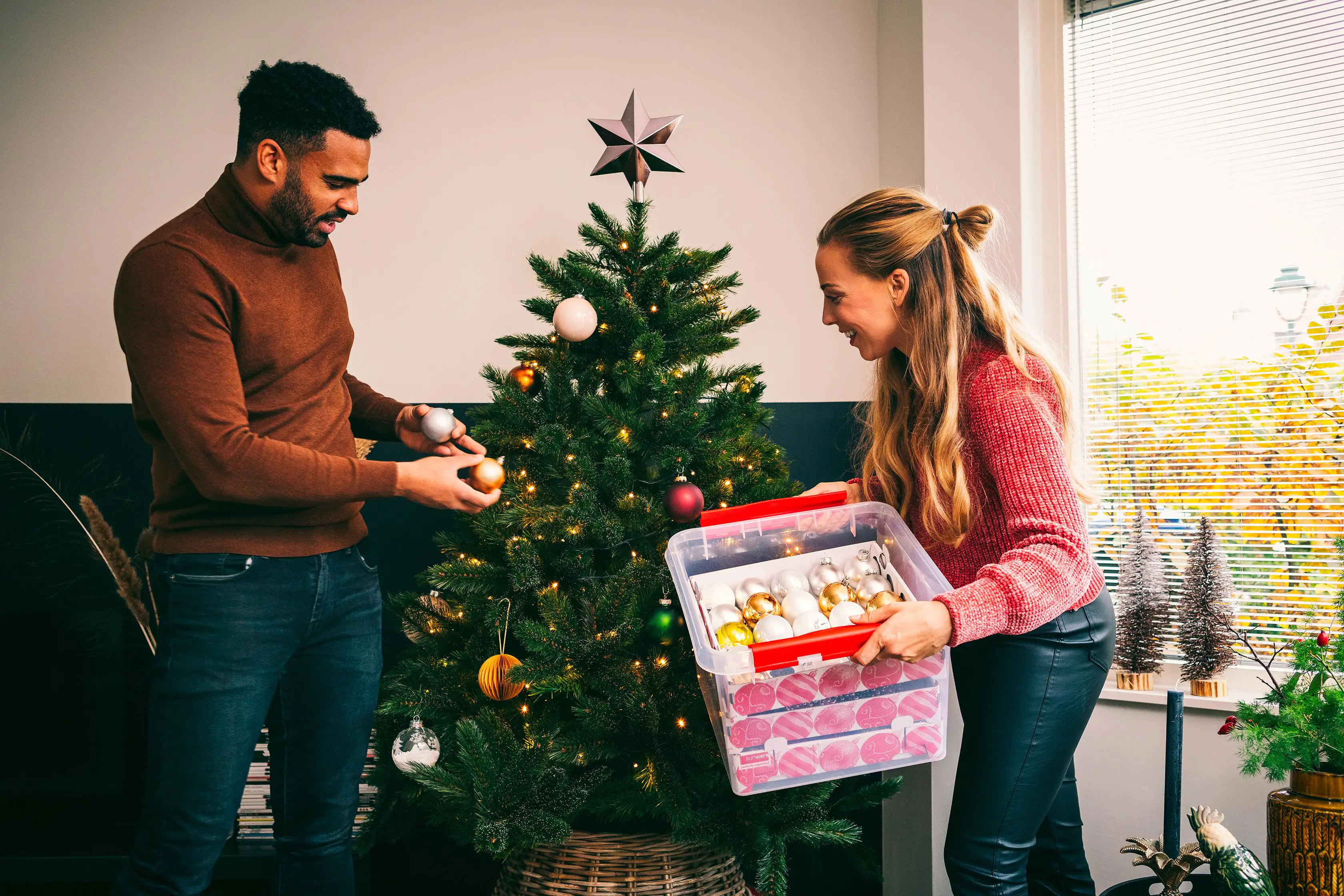 Sunware Weihnachtsbox Q-line 26L mit Einsatz für 75 Kugeln transparent rot