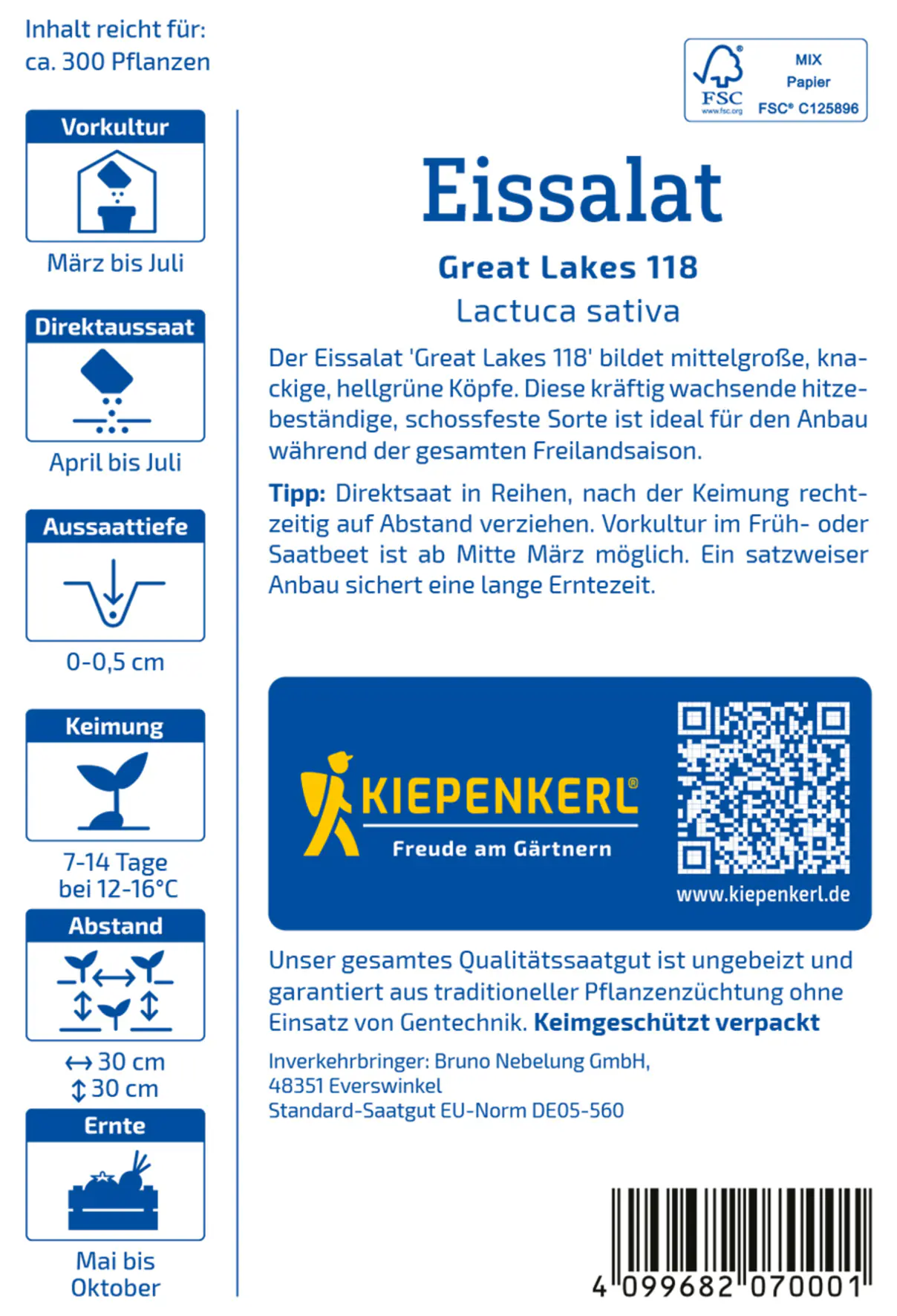 Kiepenkerl Eissalat Great Lakes 118 