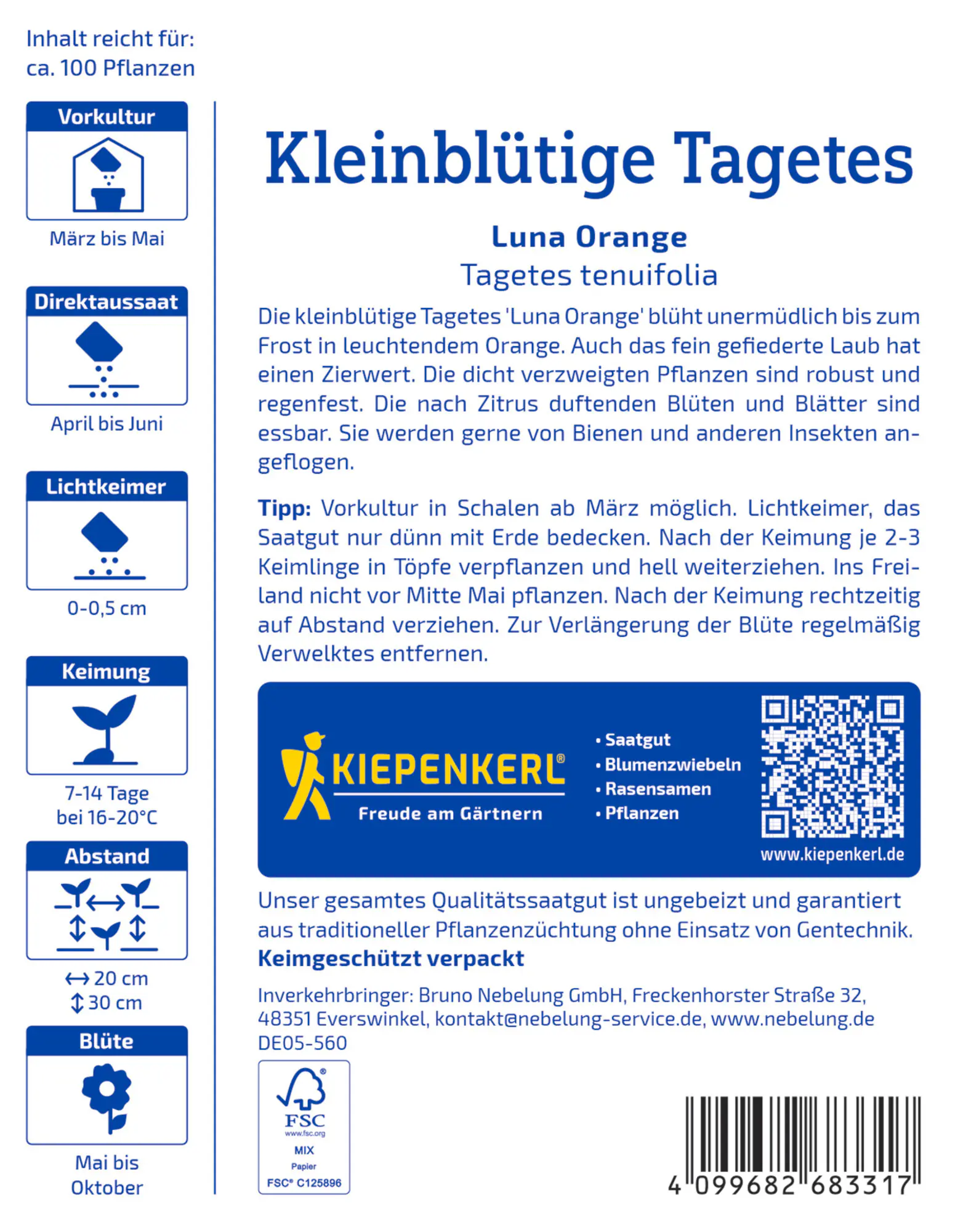 Kiepenkerl Saatgut Kleinblütige Tagetes Luna Orange für ca. 100 m²