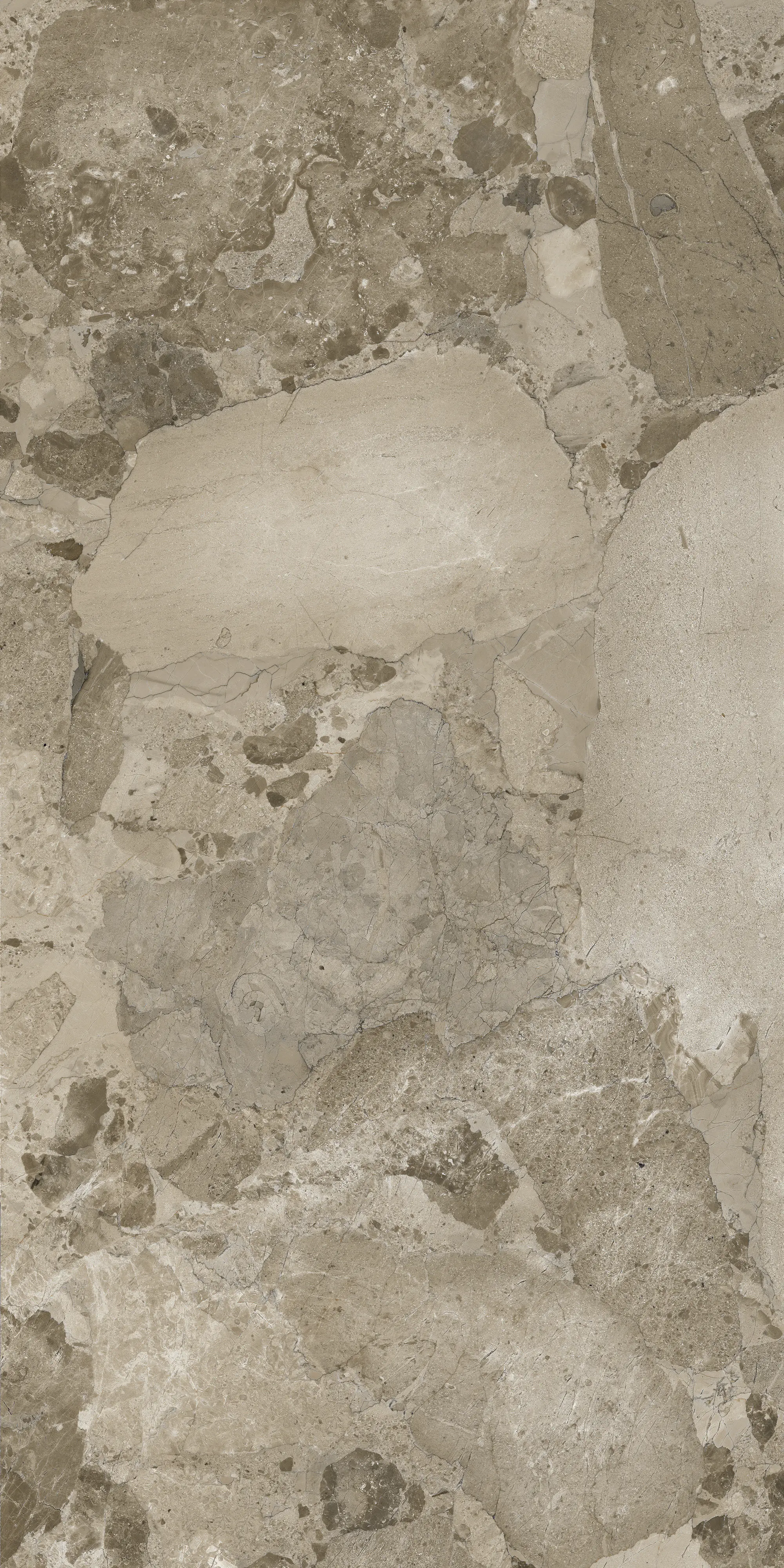 Bodenfliese Feinsteinzeug Coppo di Como 60 x 120 cm taupe
