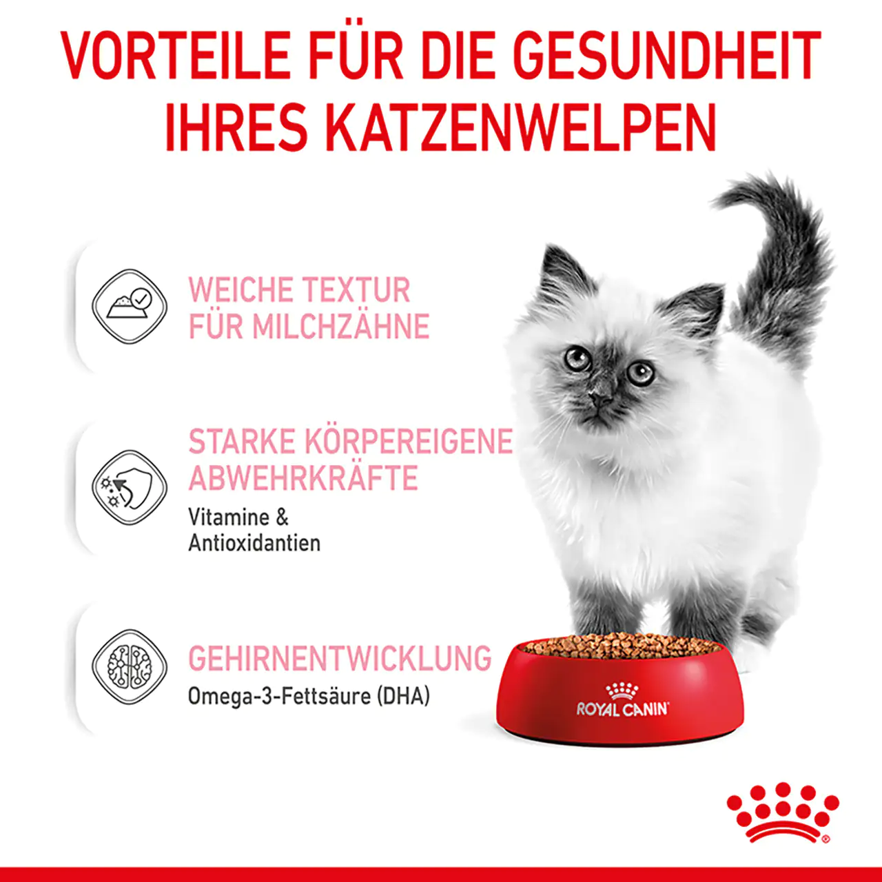 Royal Canin Katzenfutter Kitten feine Stückchen in Soße 85 g