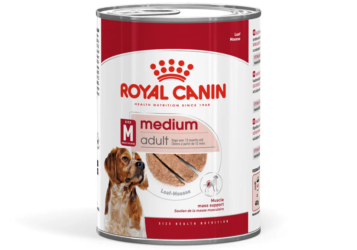 Royal Canin Hundenassfutter Adult 410 g Medium Ageing Mousse