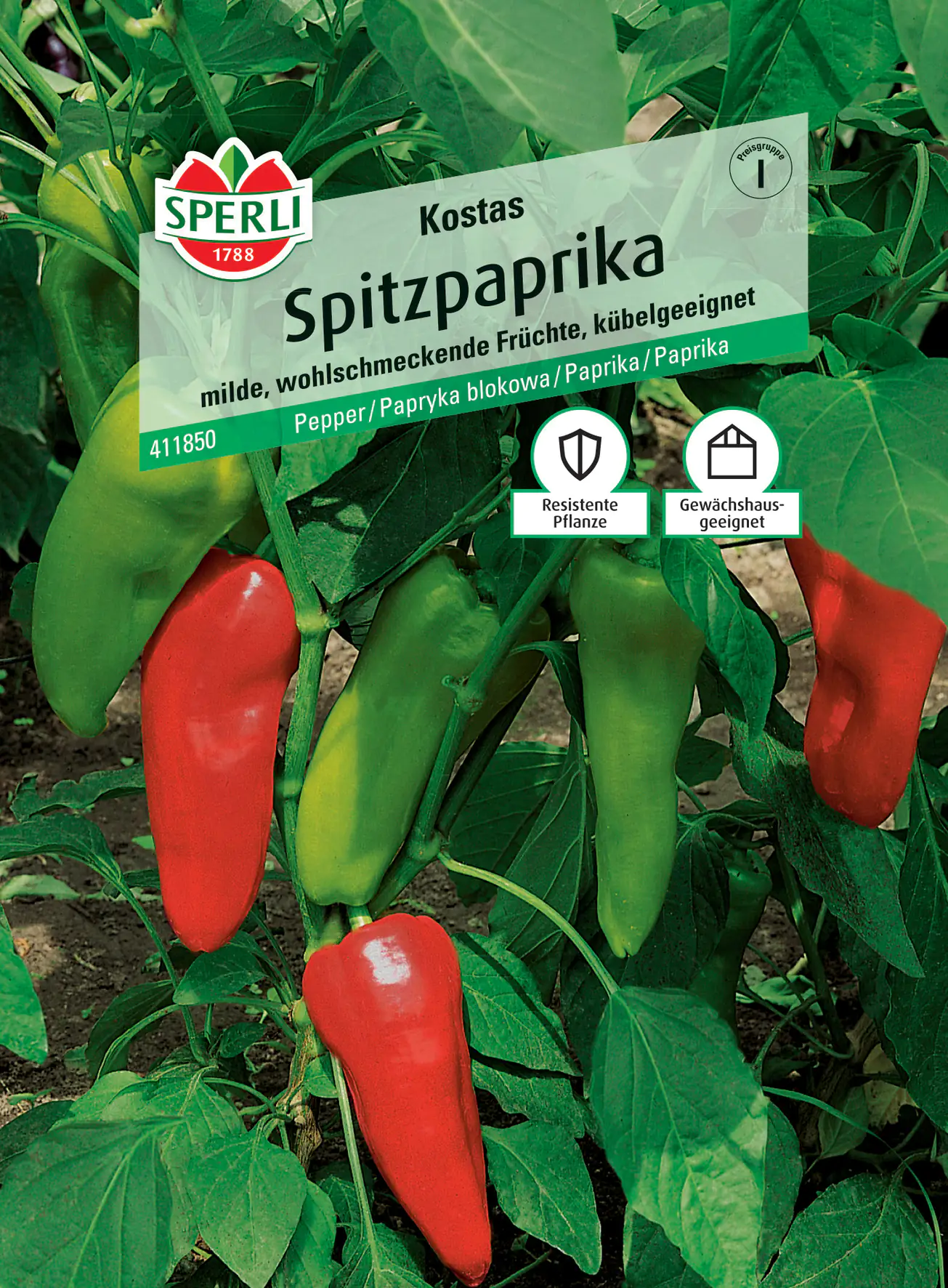 Sperli Spitzpaprika Kostas F1