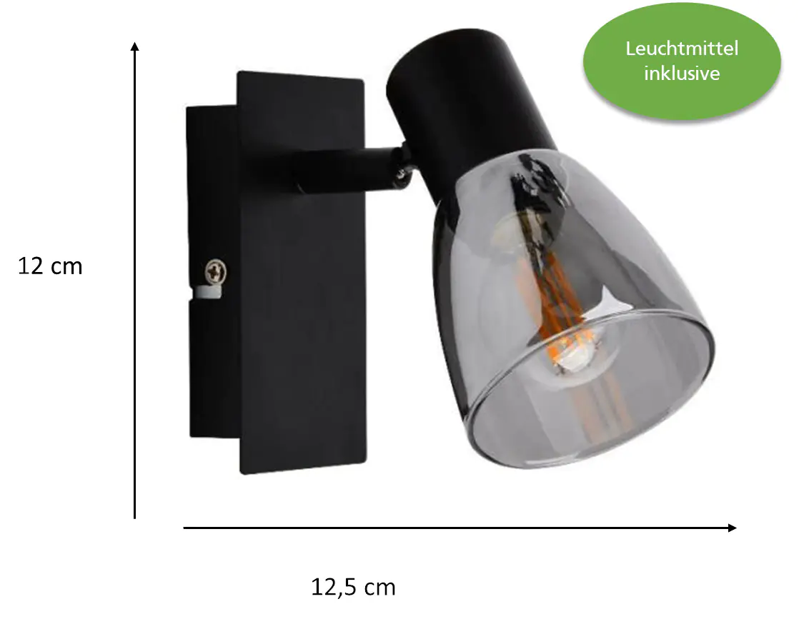 Primaster LED-Wandlampe 1er Spot Miami E14 12 x 12,5 cm schwarz 