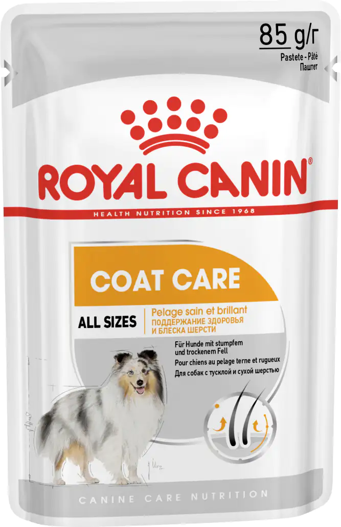 Royal Canin Hundenassfutter Adult 85 g Coat Care Mousse