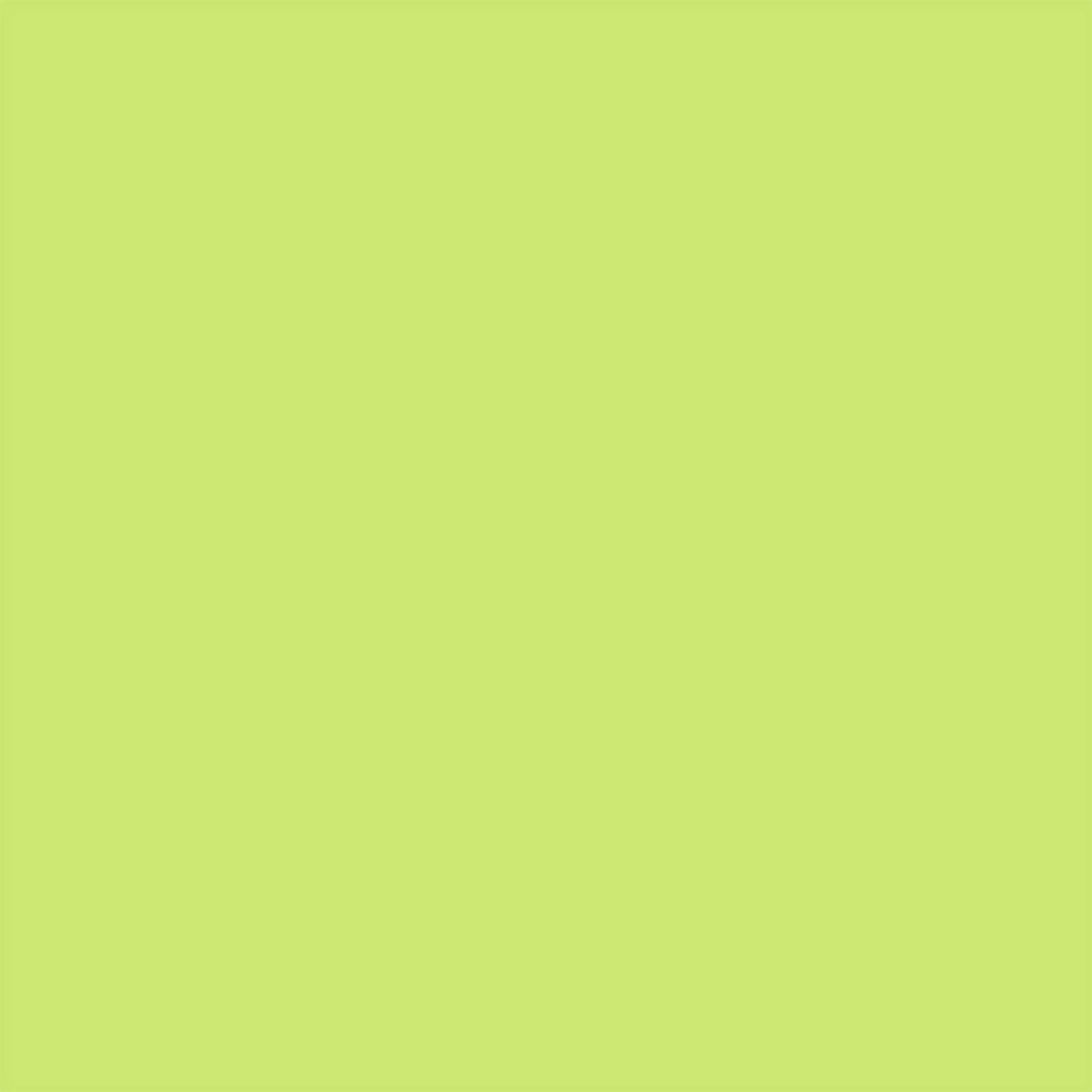 Braun & Company Soft Touch Servietten Lime 38 x 38 cm - 20er Pack