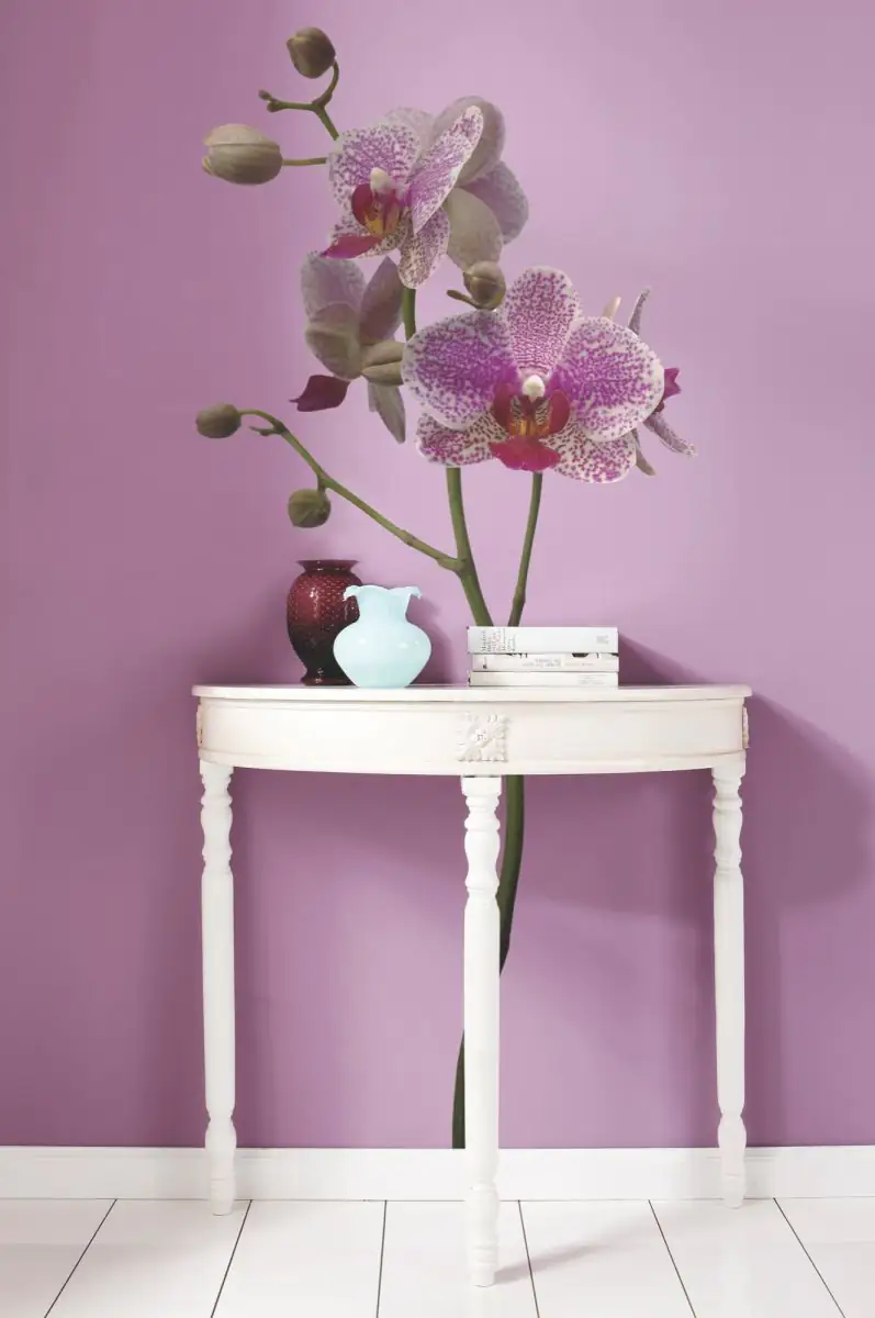 Komar Decosticker Orchidee 100 x 70 cm