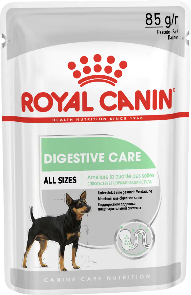 Royal Canin Hundefutter Adult 85 g Digestive Care Mousse