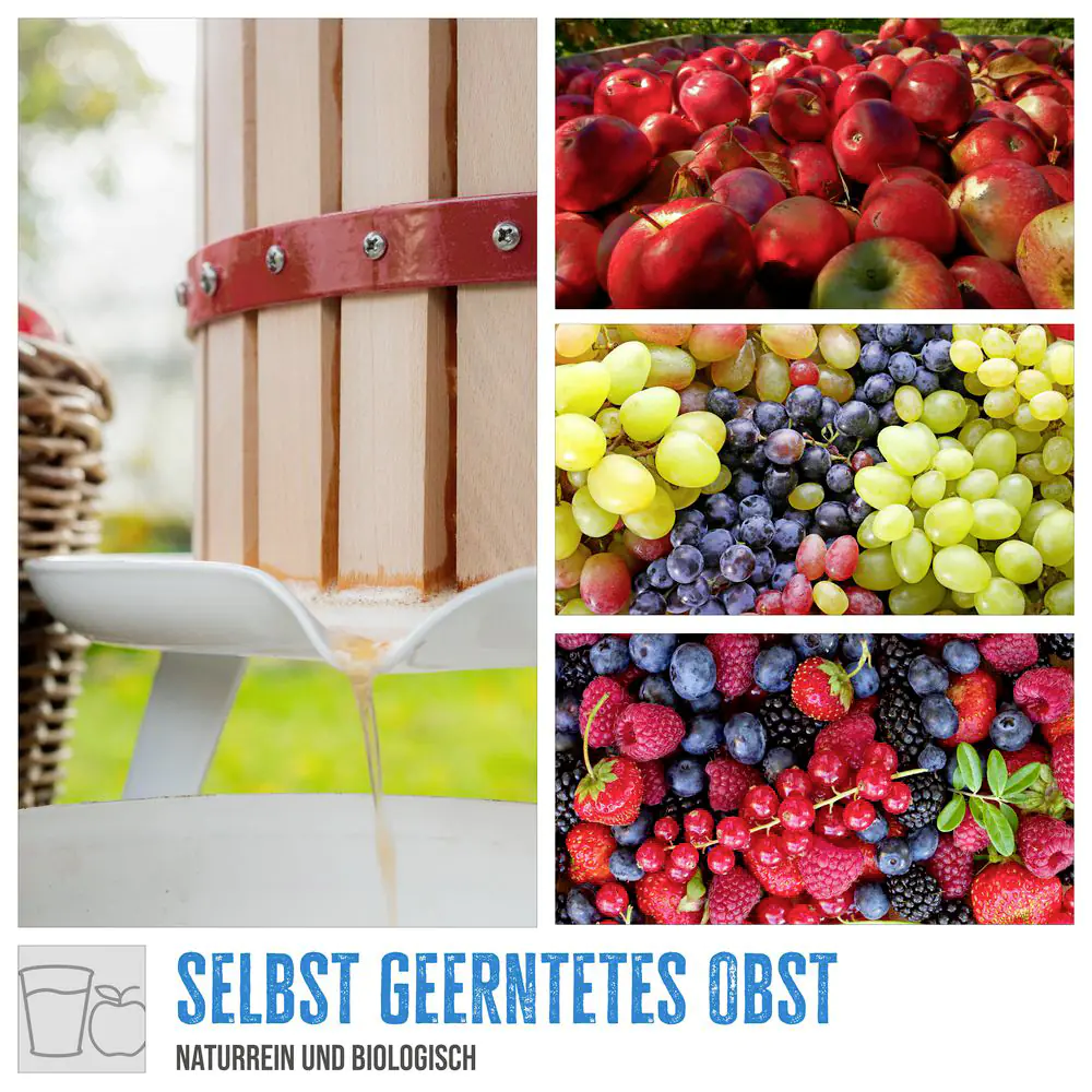 Güde Obst & Beerenpresse OP18