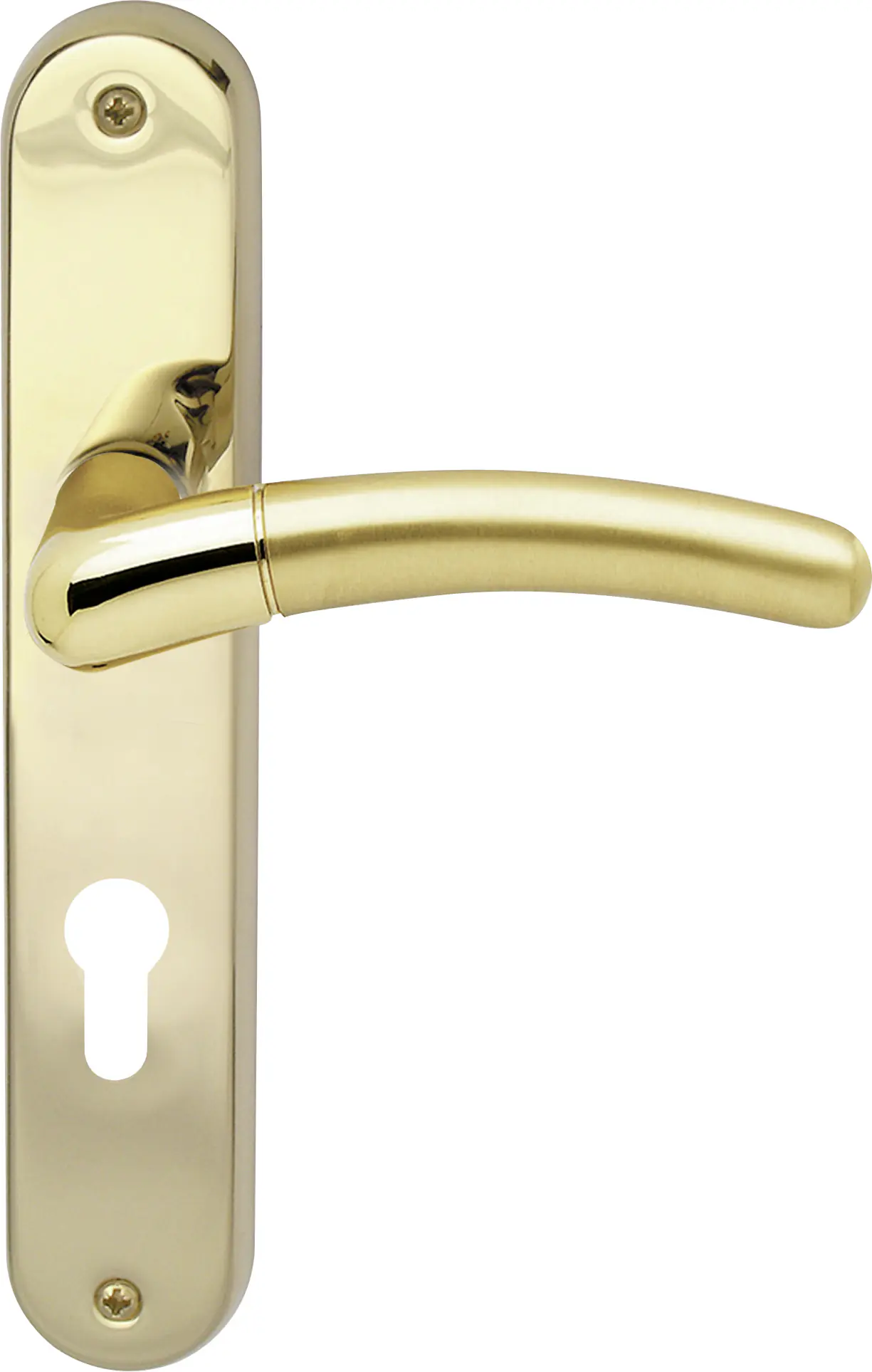 Südmetall Türgriff-Garnitur Langschild Beate PZ Messing poliert/satiniert gold 225 x 40 mm 
