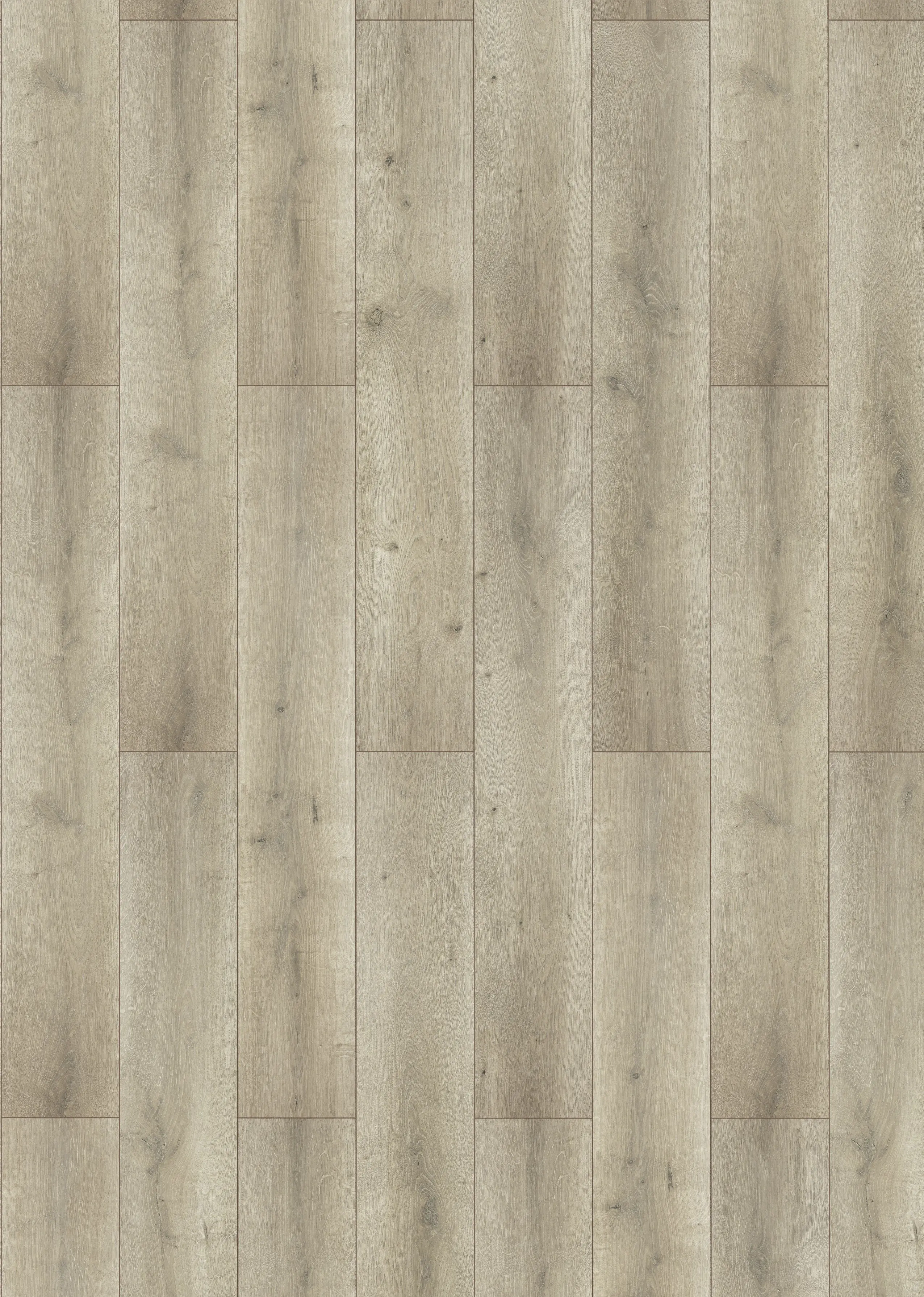 Classen Laminat Megaloc Aquaprotect Oak light grey brown