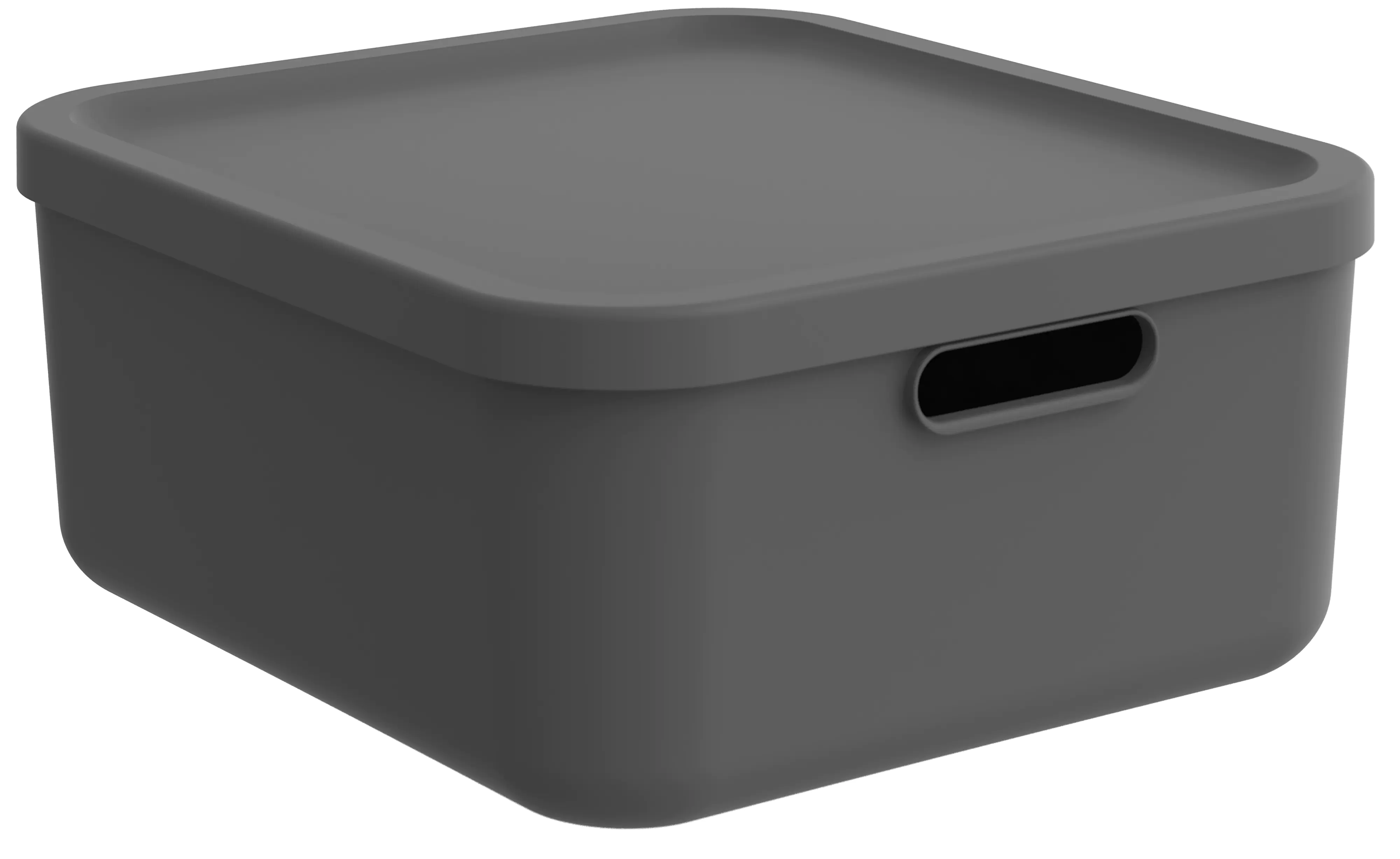 Rotho Aufbewahrungsbox Albula mit Deckel 17,5 x 39,5 cm 20 L anthrazit