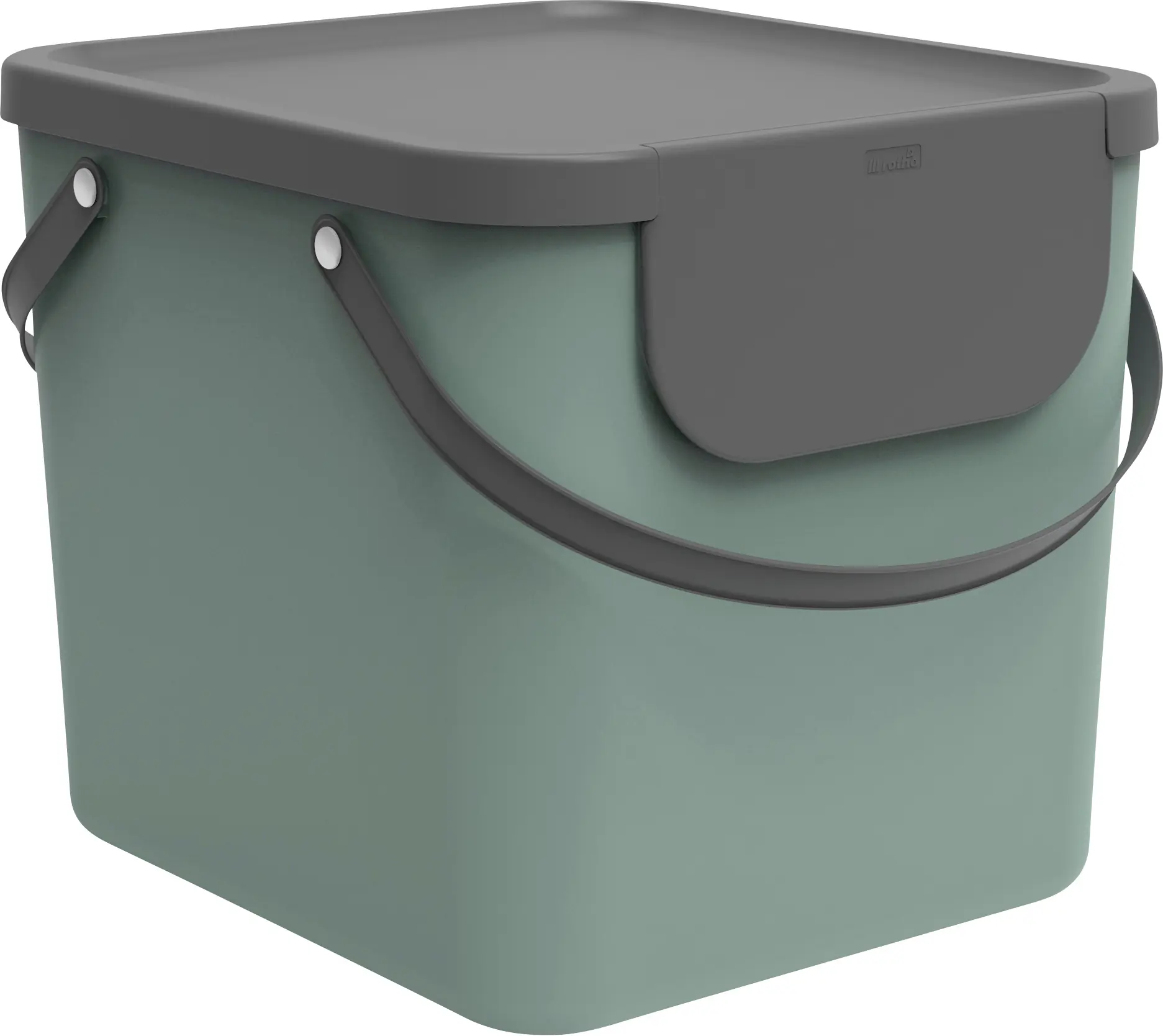 Rotho Mülltrennungssystem Albula 40 L misteltoe green Recyclingbehälter