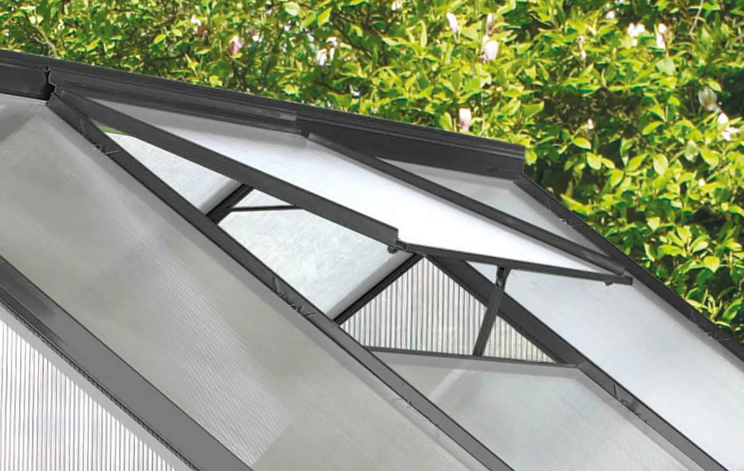Vitavia Alu-Dachfenster zu Gewächshaus Calypso schwarz