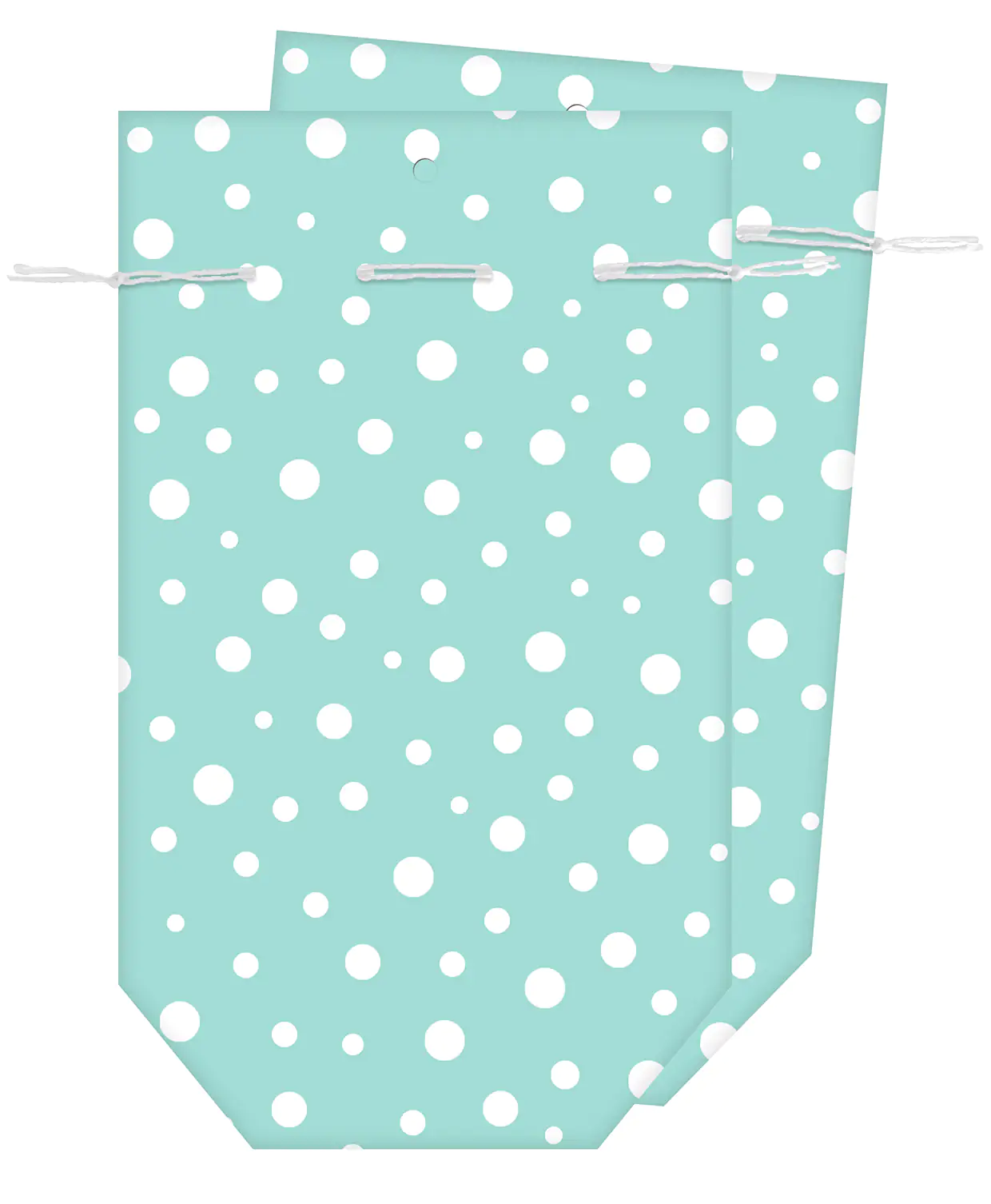 Braun & Company Geschenktasche blau 13 x 22 cm