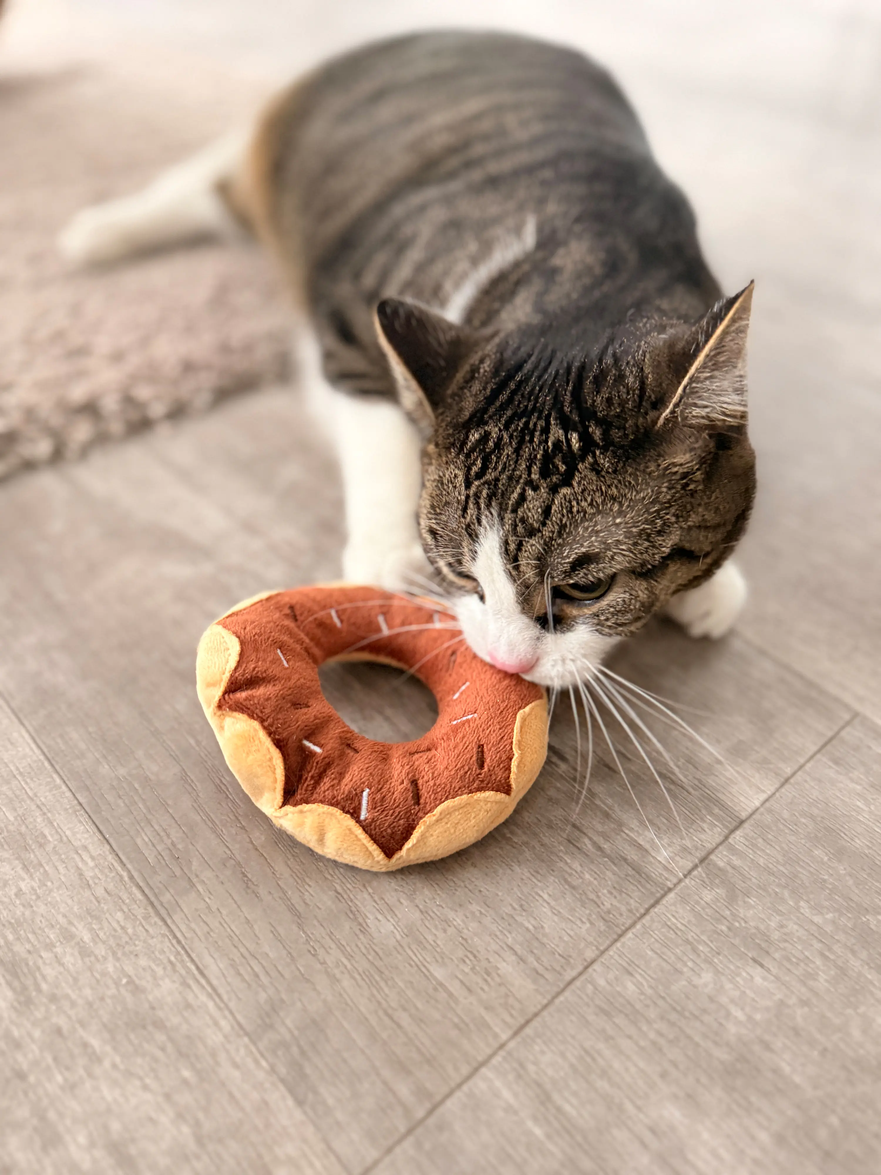 Aumüller Katzenspielzeug Donut Schoko Ø 11 x 3,5 cm braun