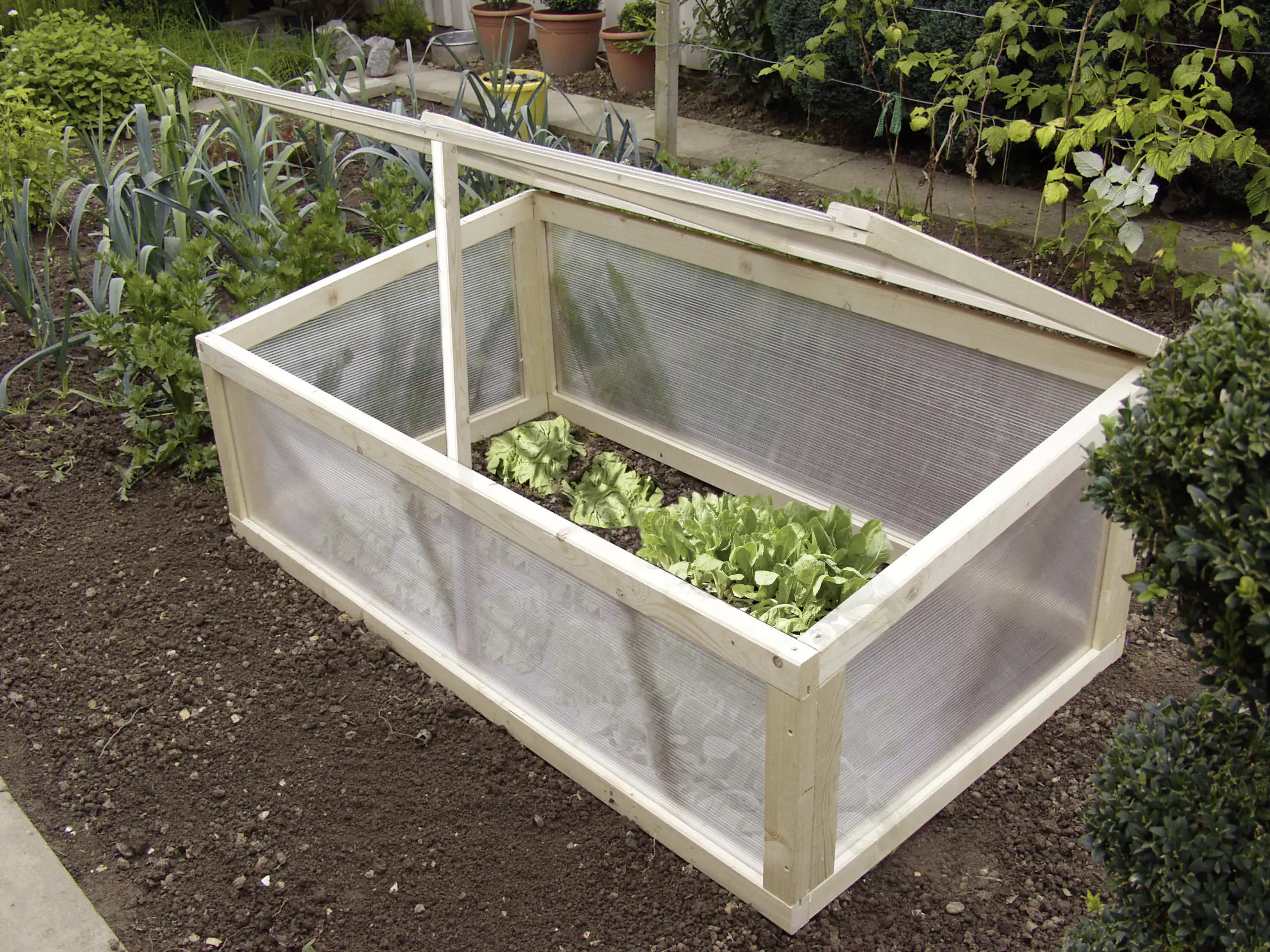 Gutta Polycarbonat-Doppelstegplatte 250 x 98 cm 6 mm klar