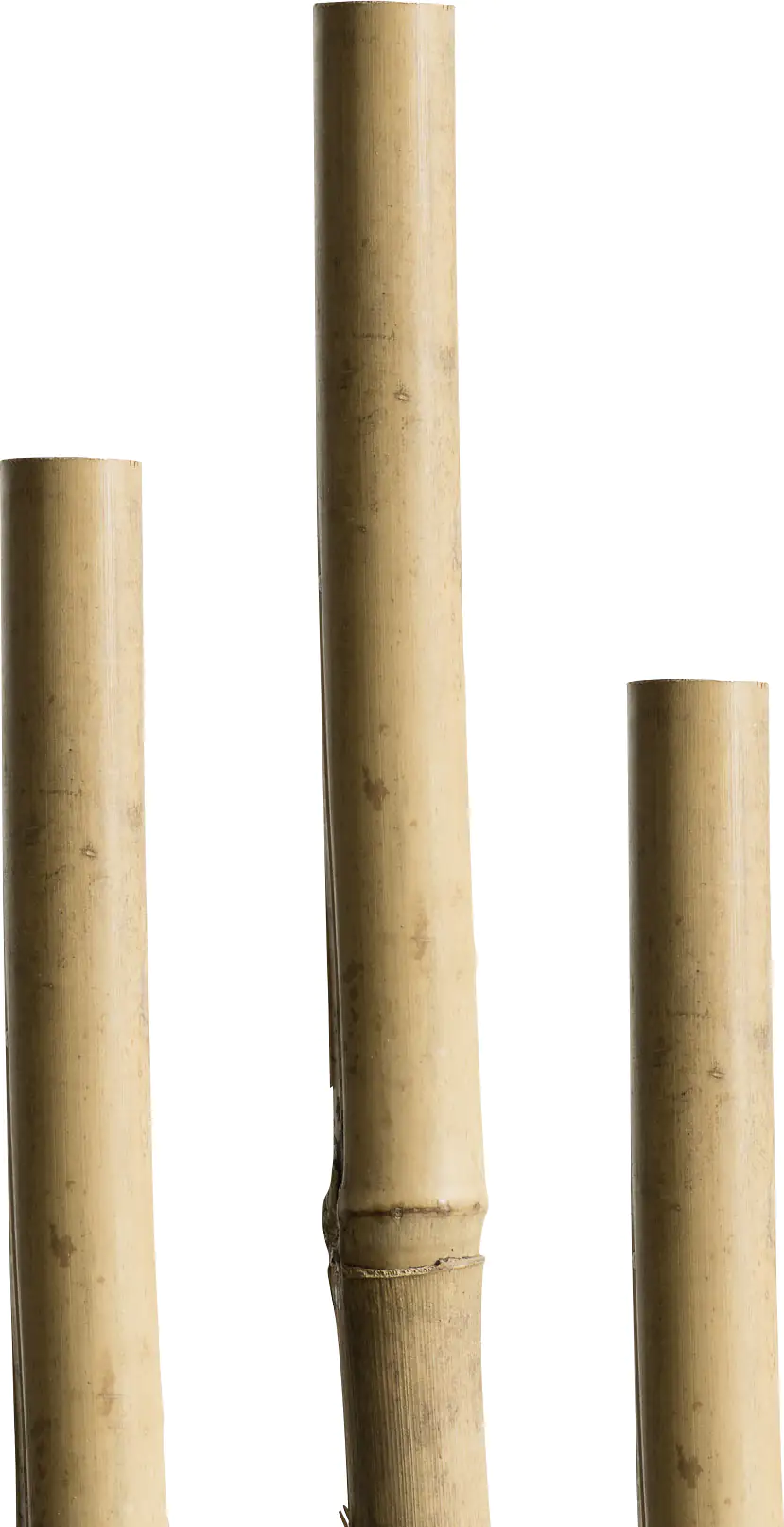 Windhager Tonkinstäbe 120cm 5 Stück
