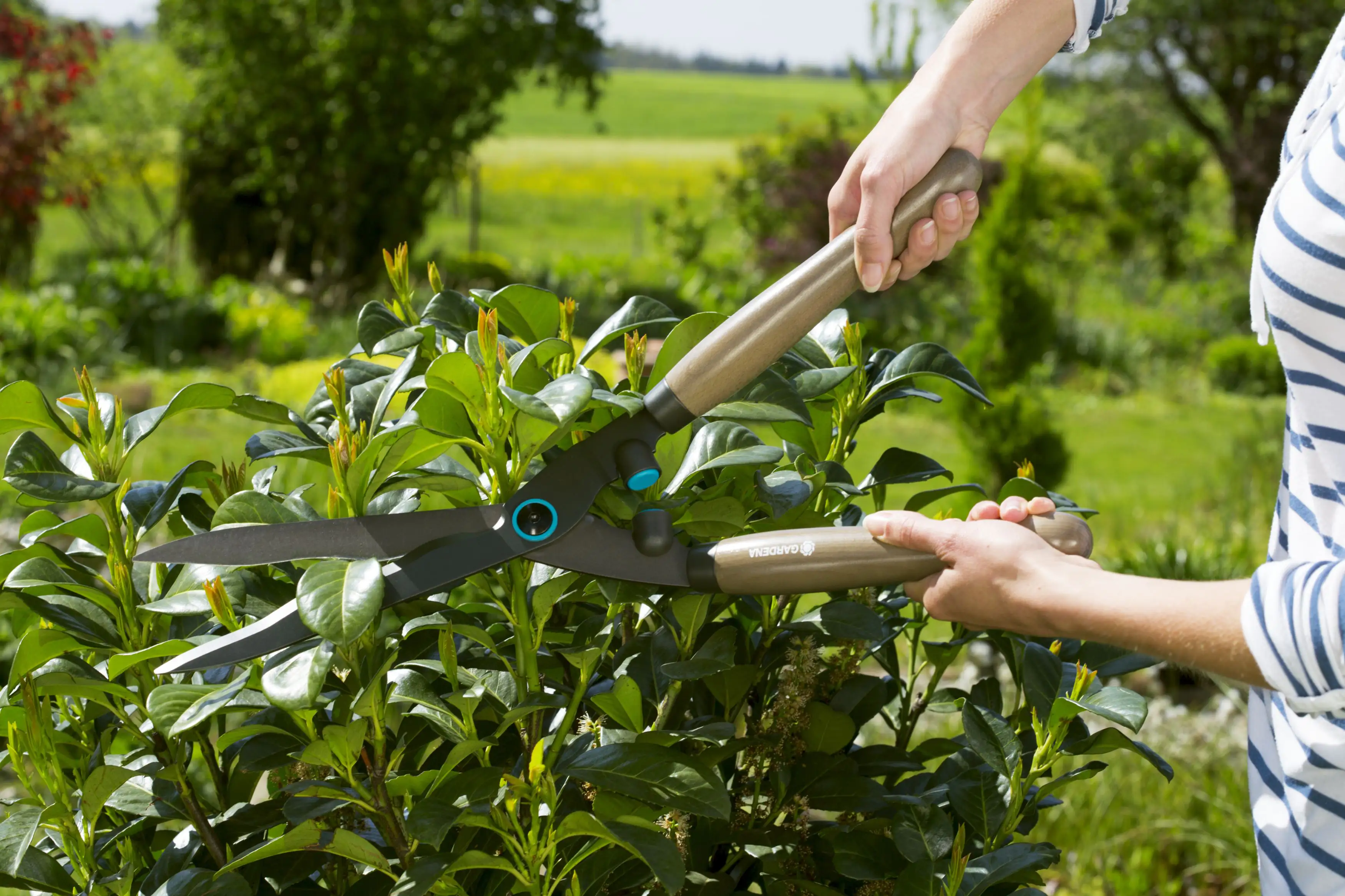 Gardena Heckenschere NatureCut 23 cm Messerlänge