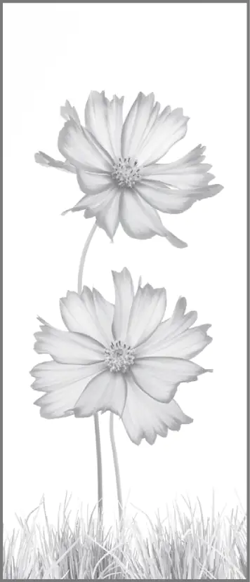 Ambiente Glaszaun Dekor 93 51,5 x 120 cm gehärtetes 8 mm Glas