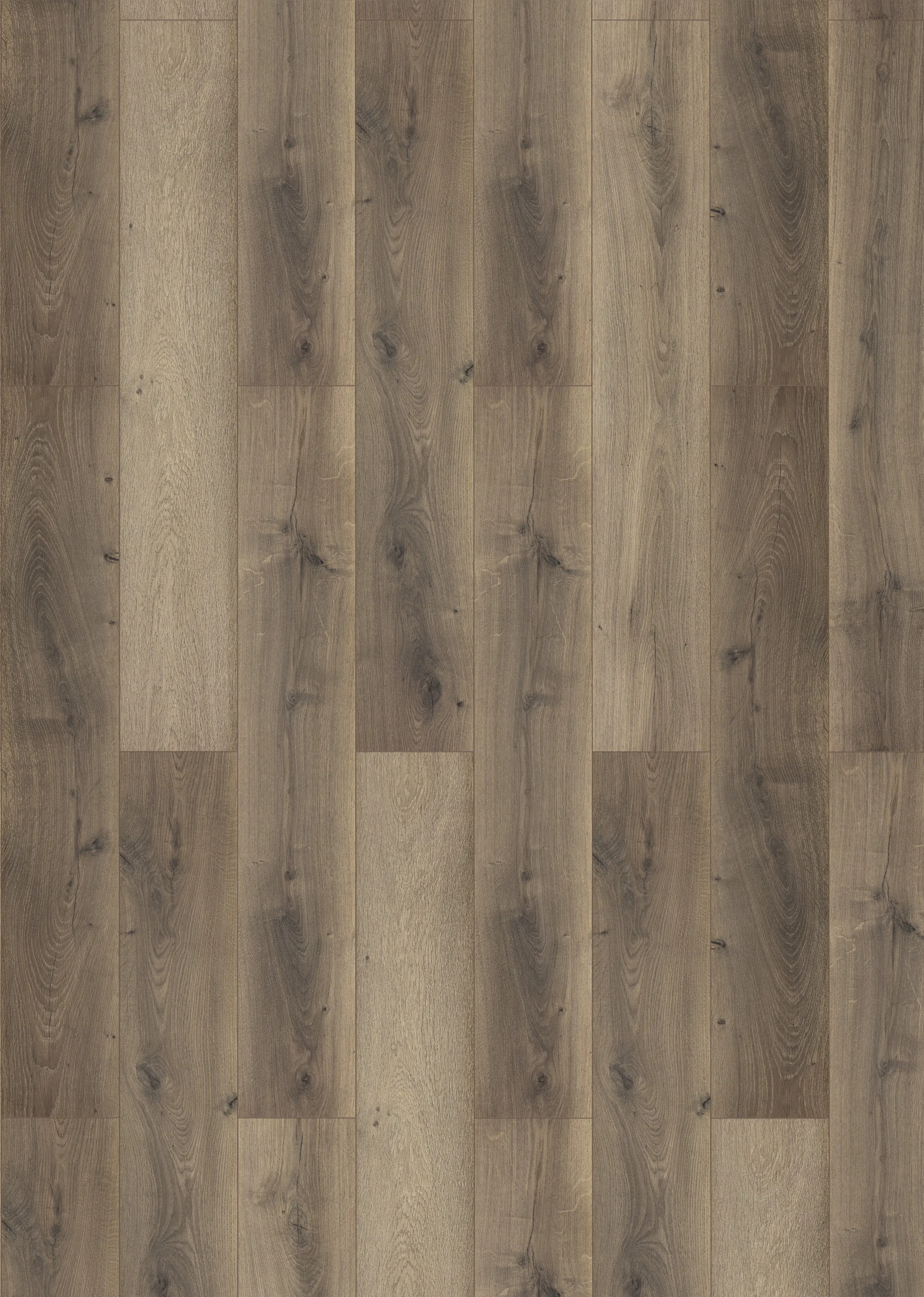 Classen Laminat Megaloc Aquaprotect 128,5 x 19,2 cm 8 mm Eiche braun mix