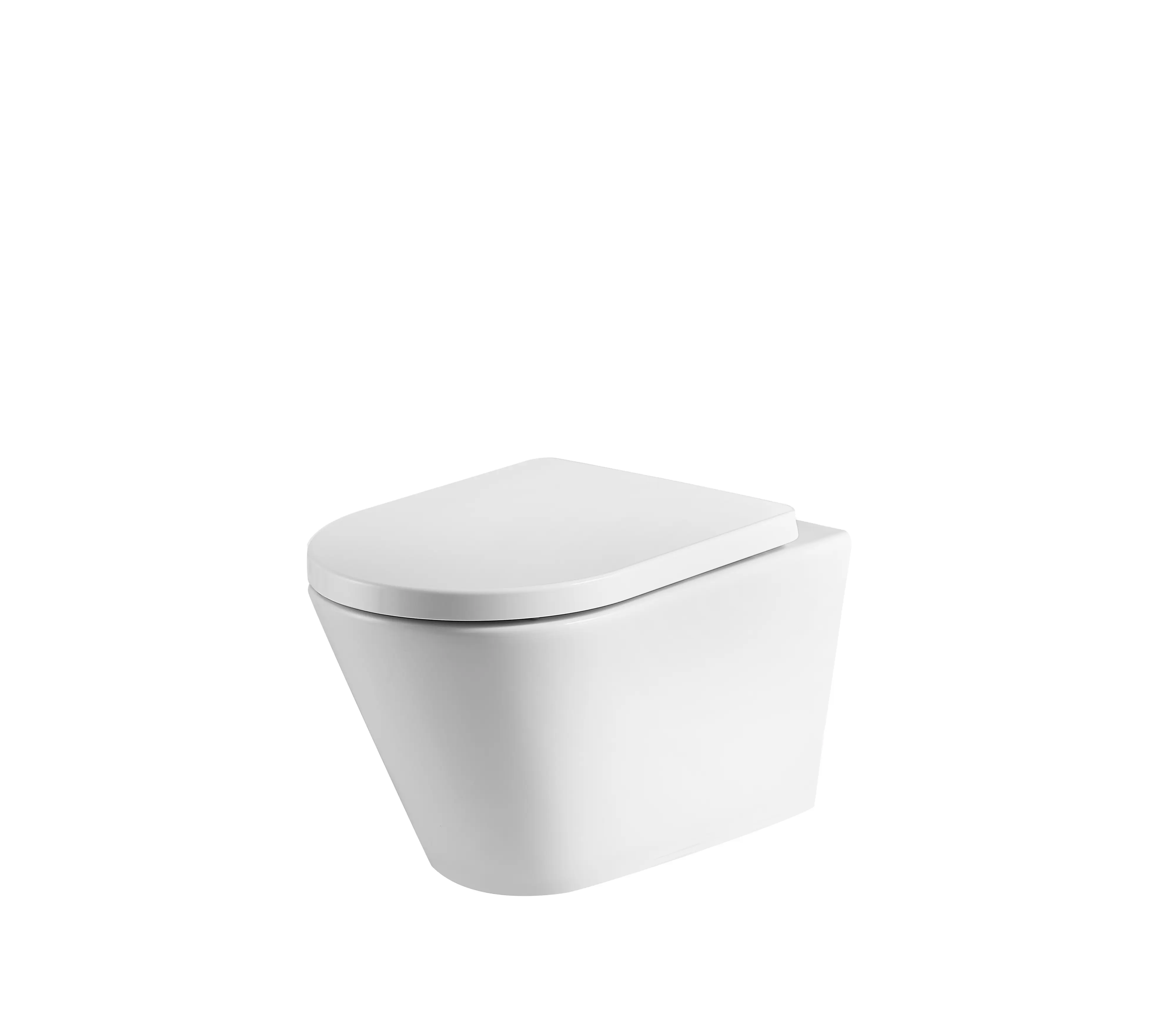 Primaster Wand WC spülrandlos Raya Tiefspüler weiß inkl. WC Sitz