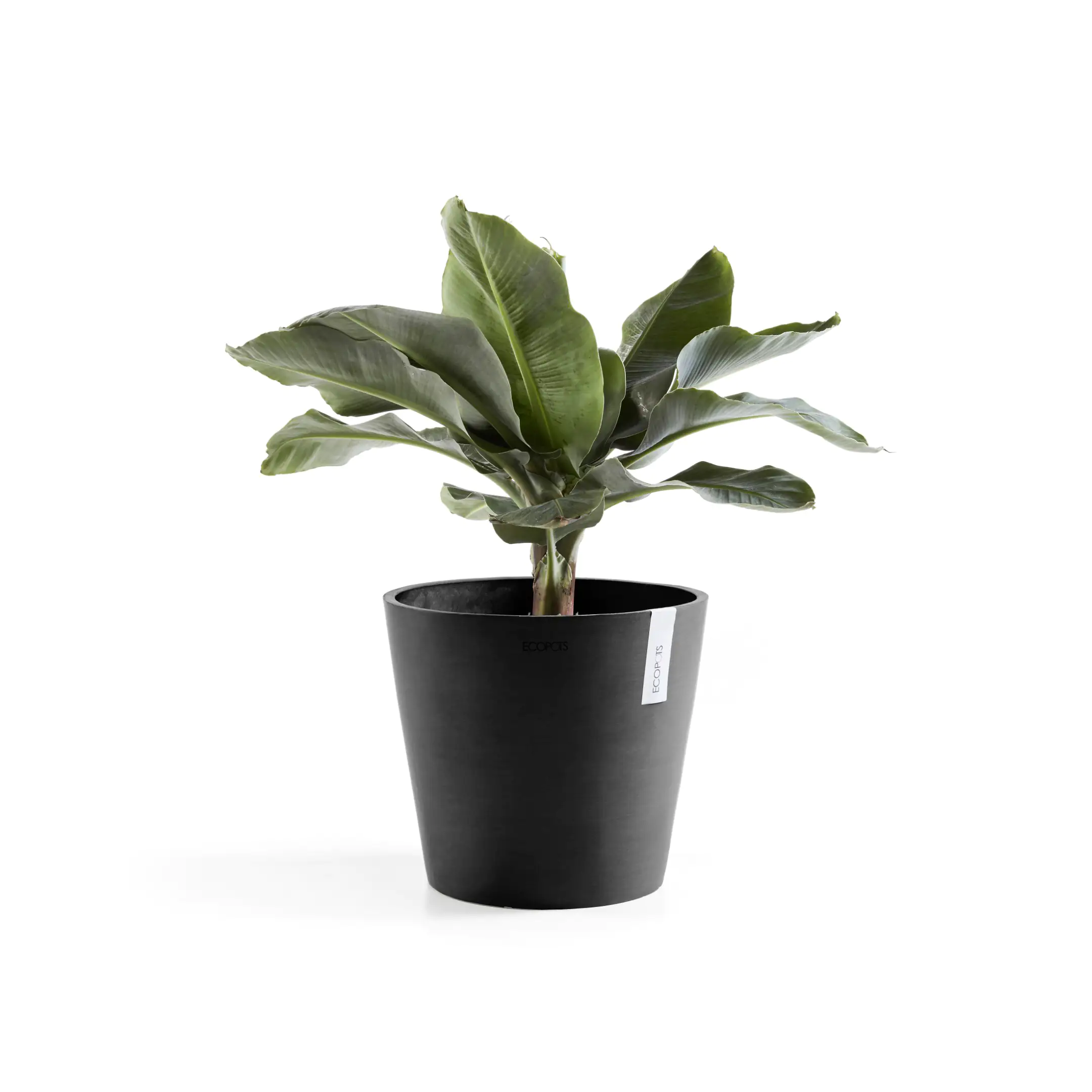 Ecopots Pflanztopf Amsterdam Ø 30 x 26 cm dunkelgrau