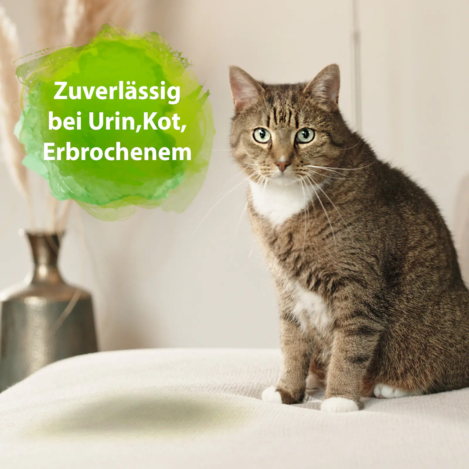 Bactador Katzentoiletten Geruchsentferner 500 ml