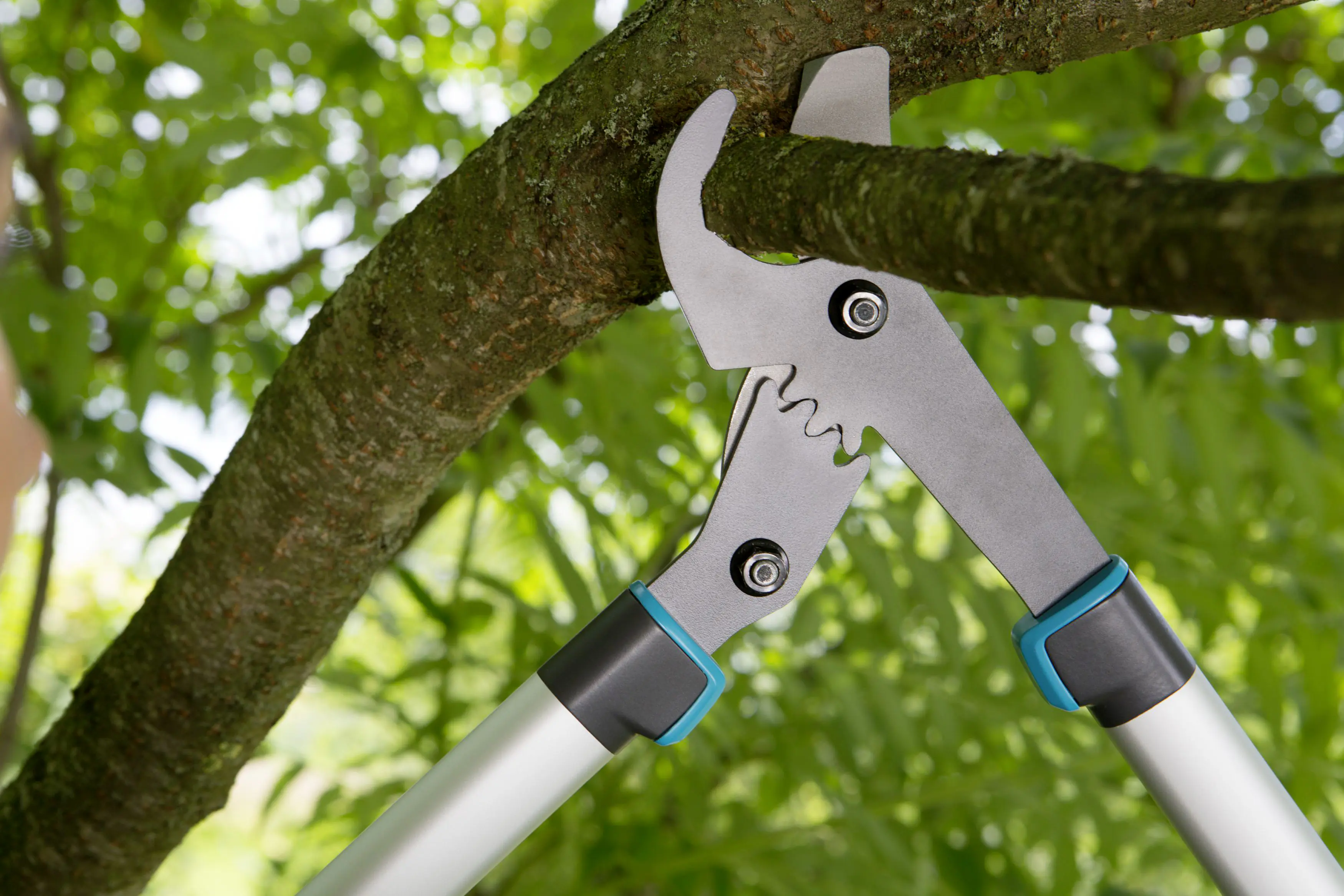 Gardena Astschere EnergyCut 750B bis zu Ø 42 mm Schnittstärke