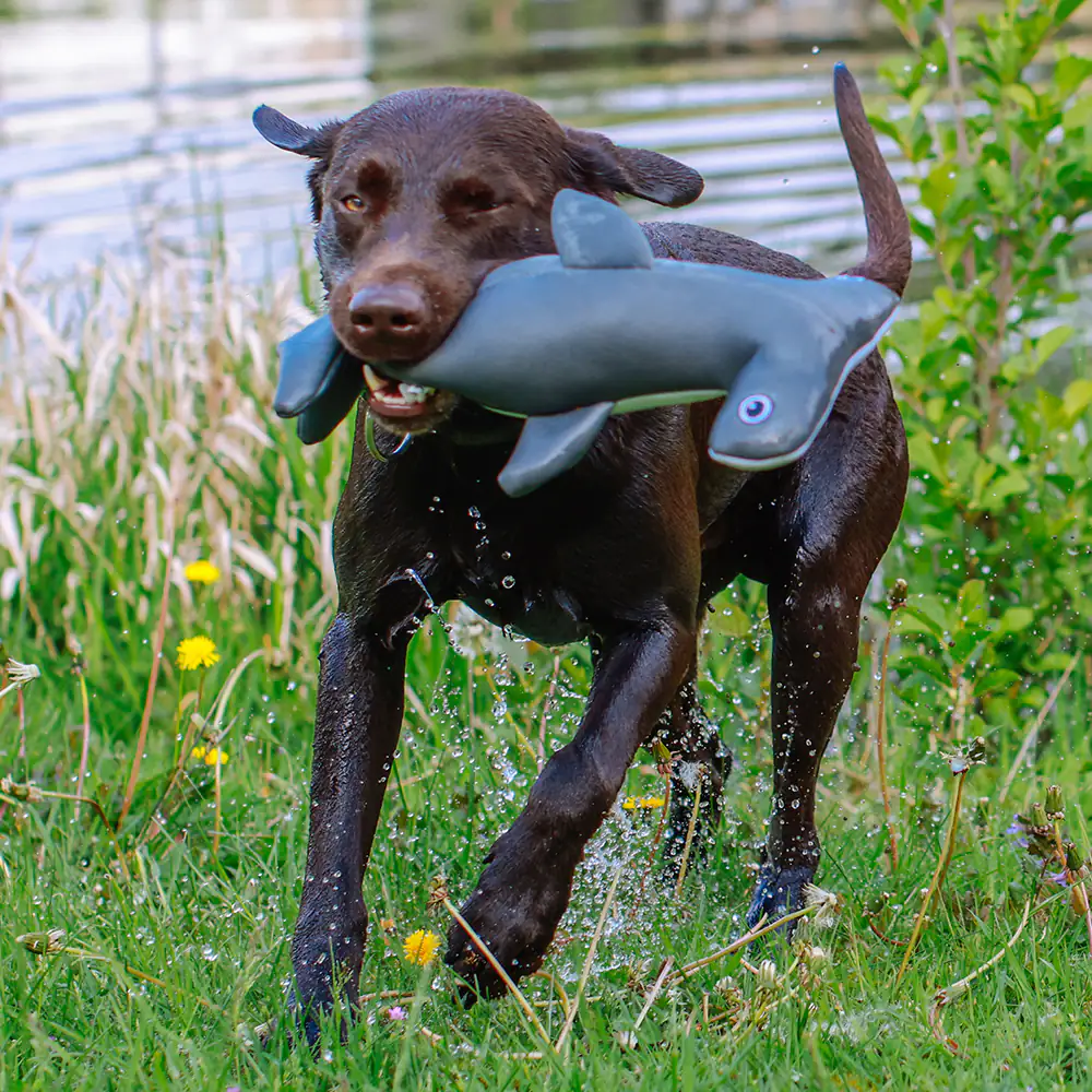Nobby Hammerhai Floating 38,5 cm