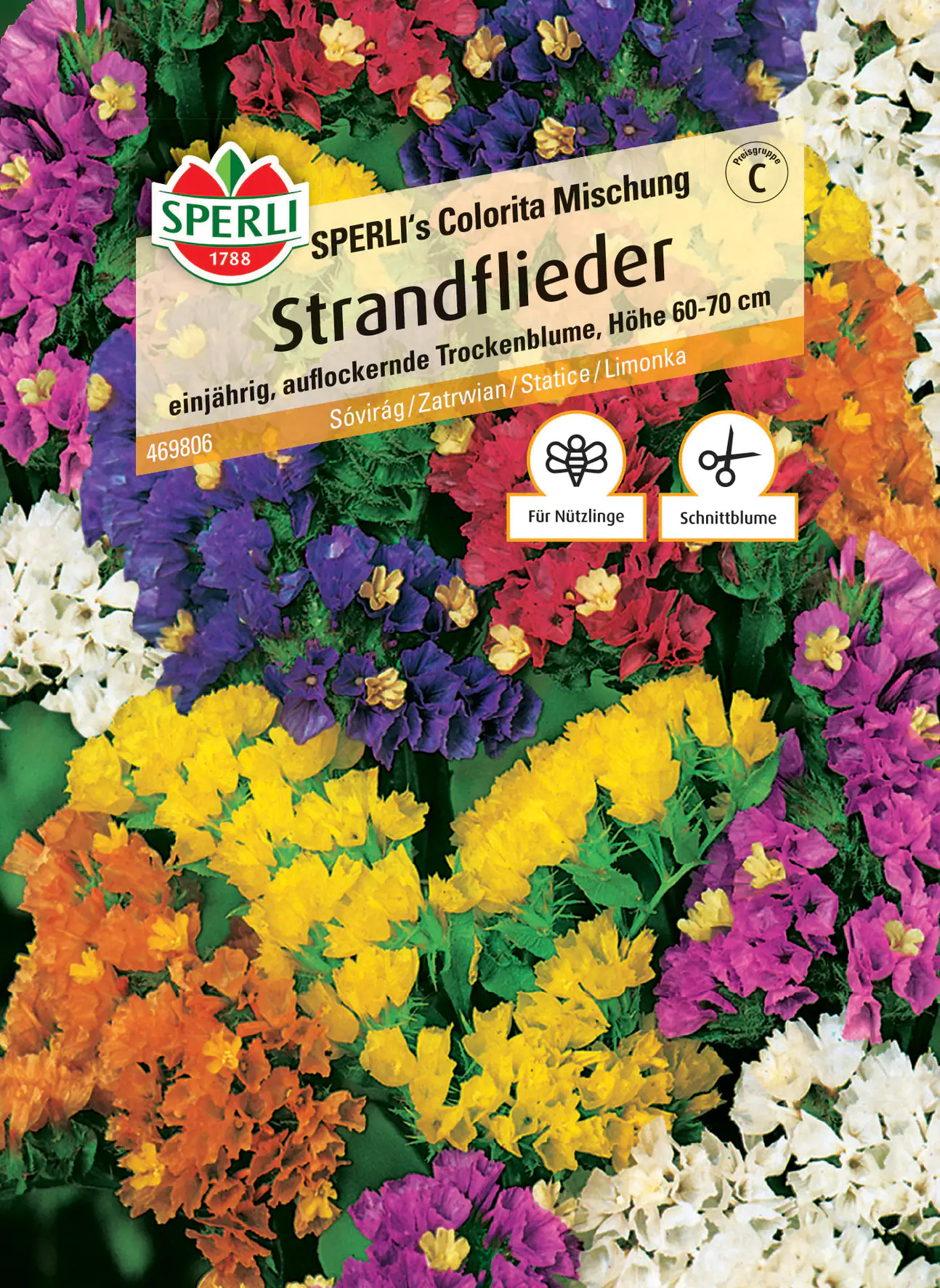 Sperli Strandflieder Sperli's Colorita Mischung