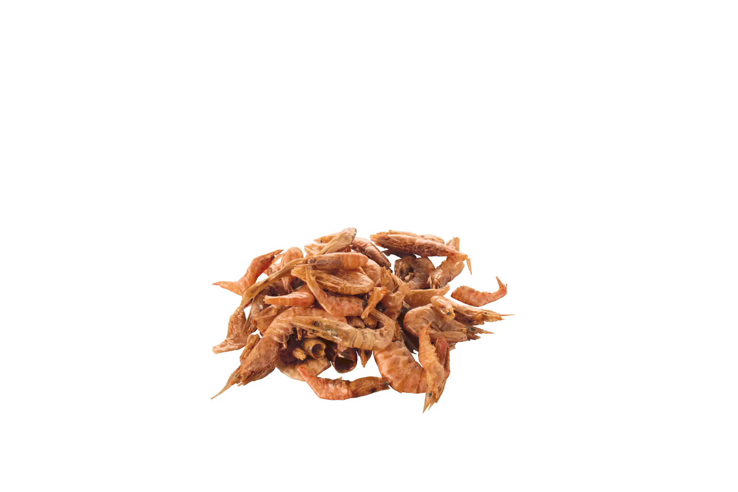 Tetra ReptoDelica Shrimps 1 L