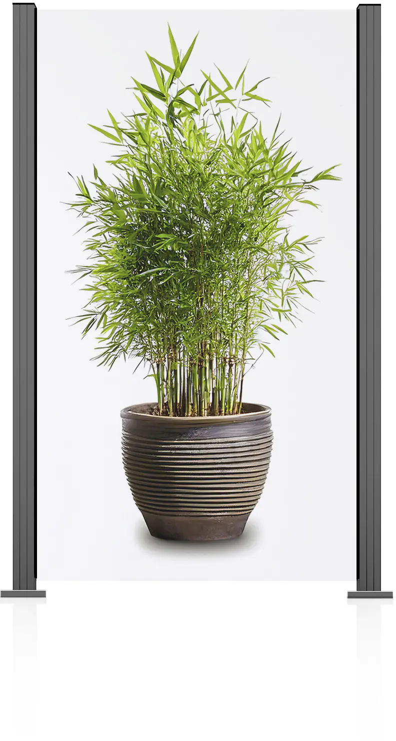Ambiente Glaszaun Grundset Klarglas 187 x 107,2 cm grau