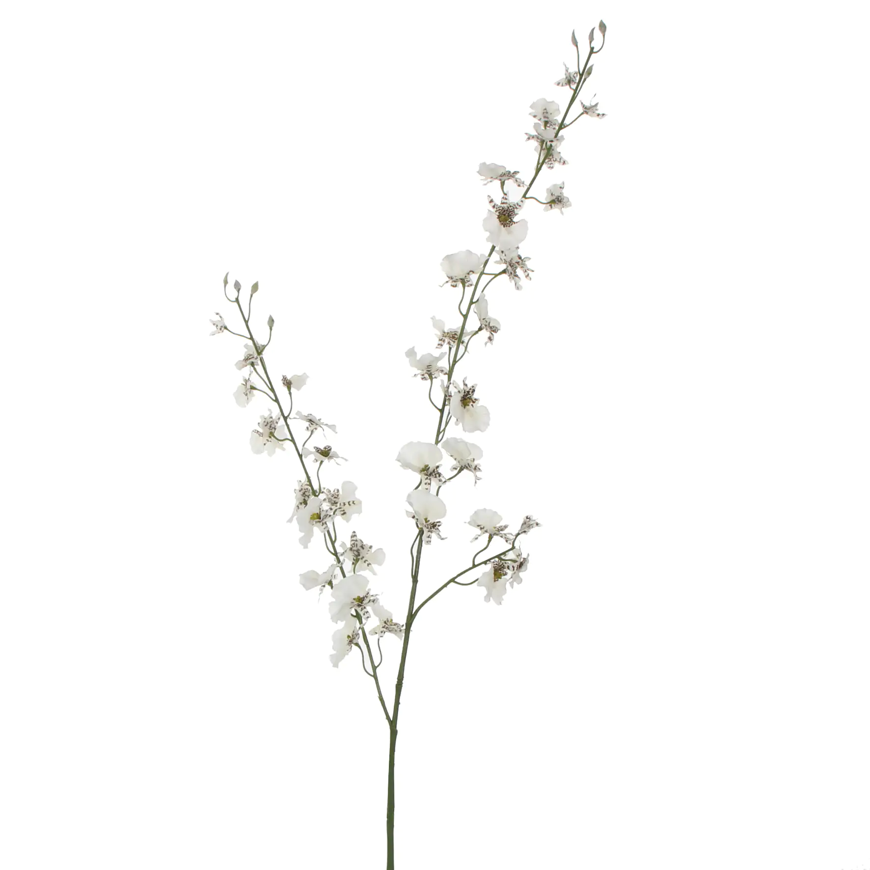 Mica künstliche Oncidium creme 78 cm