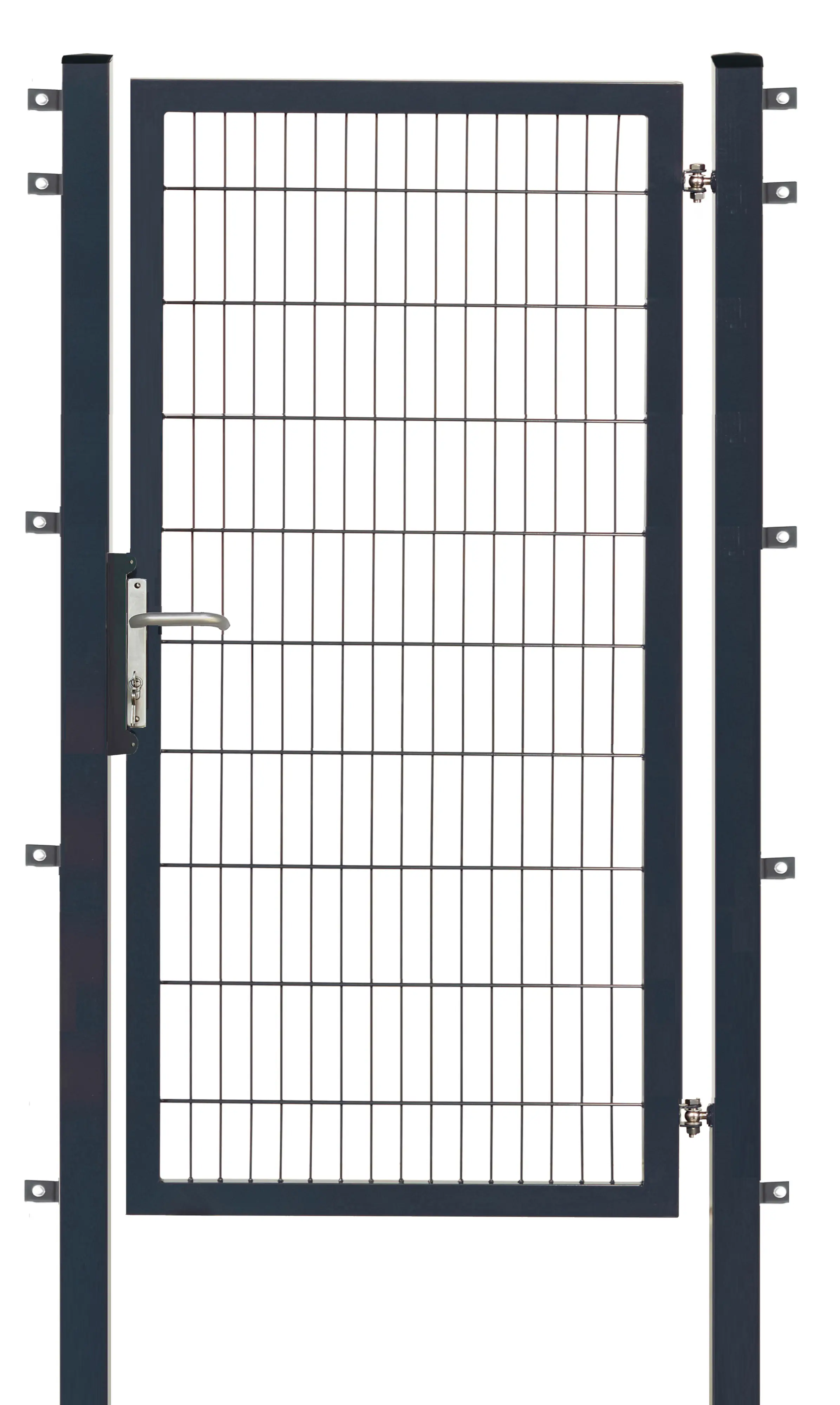 Floraworld Gartentor Premium 100 x 200 cm anthrazit