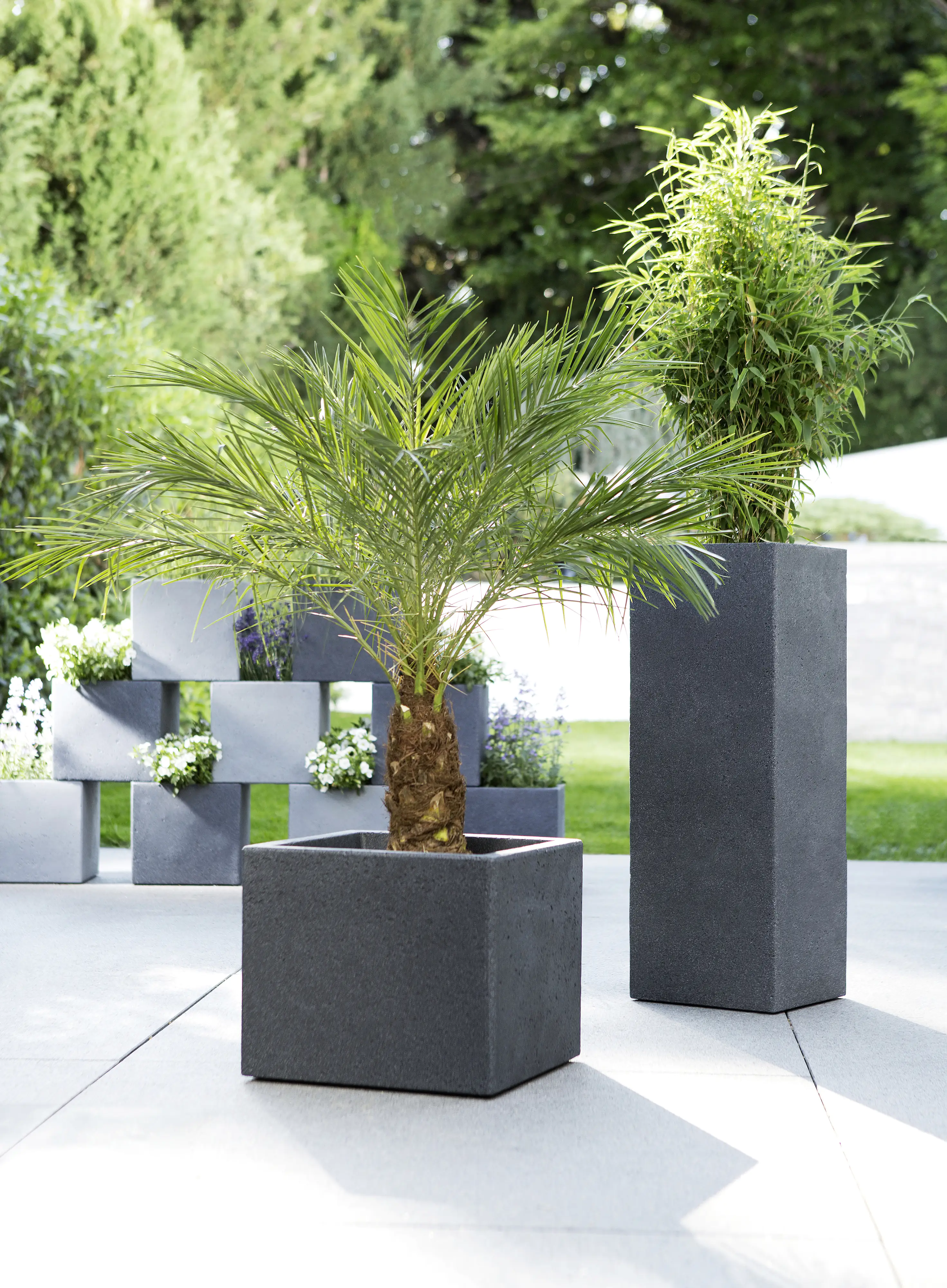 Scheurich Pflanzgefäß C-Cube Long Serie 240 schwarz granit 60 cm