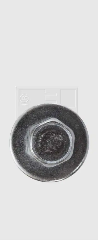 SWG Sechskantblechschraube mit Scheibe DIN 6901 4,8x19 verzinkt