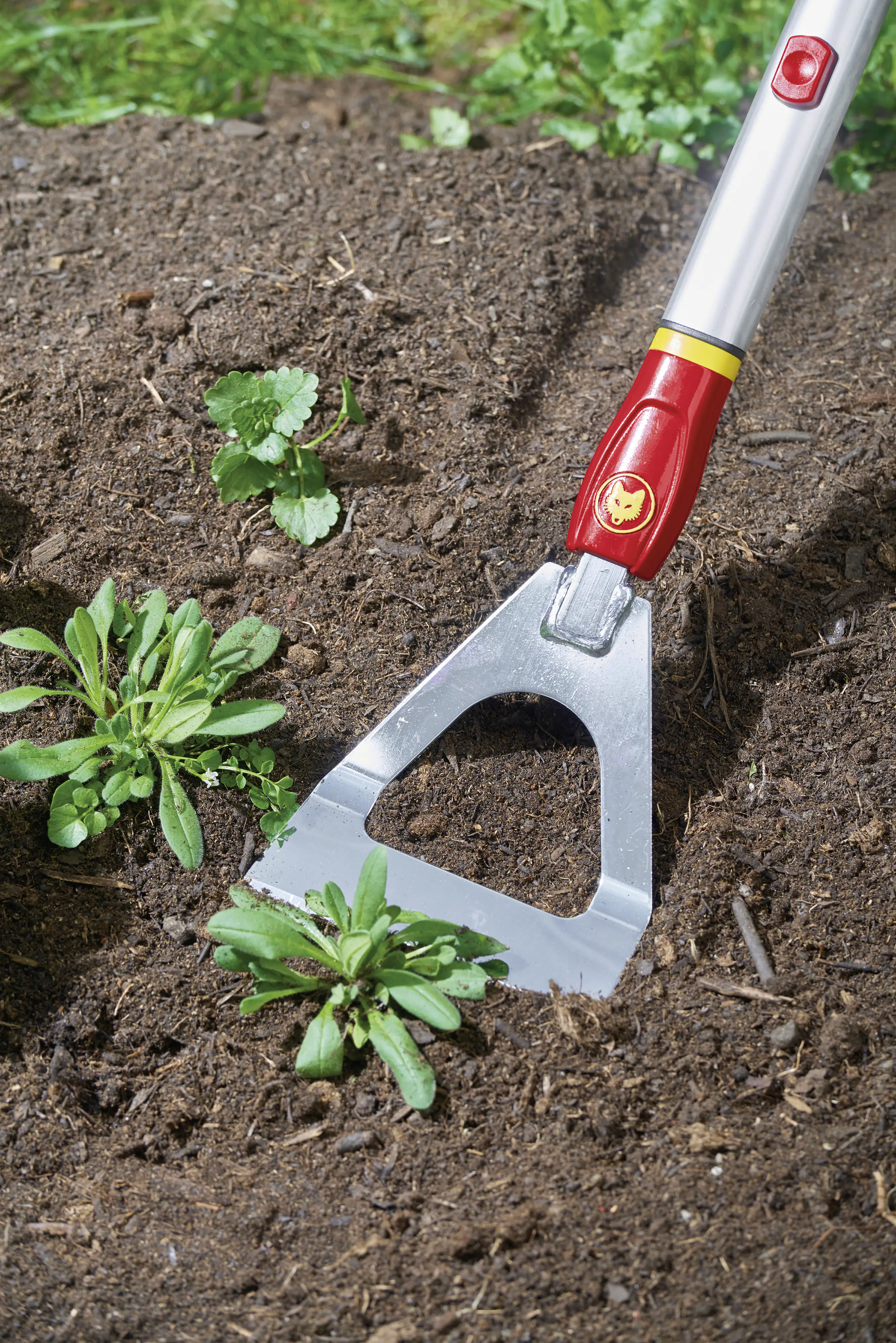 Wolf Garten Dutch Hoe DH-M 13 cm Arbeitsbreite