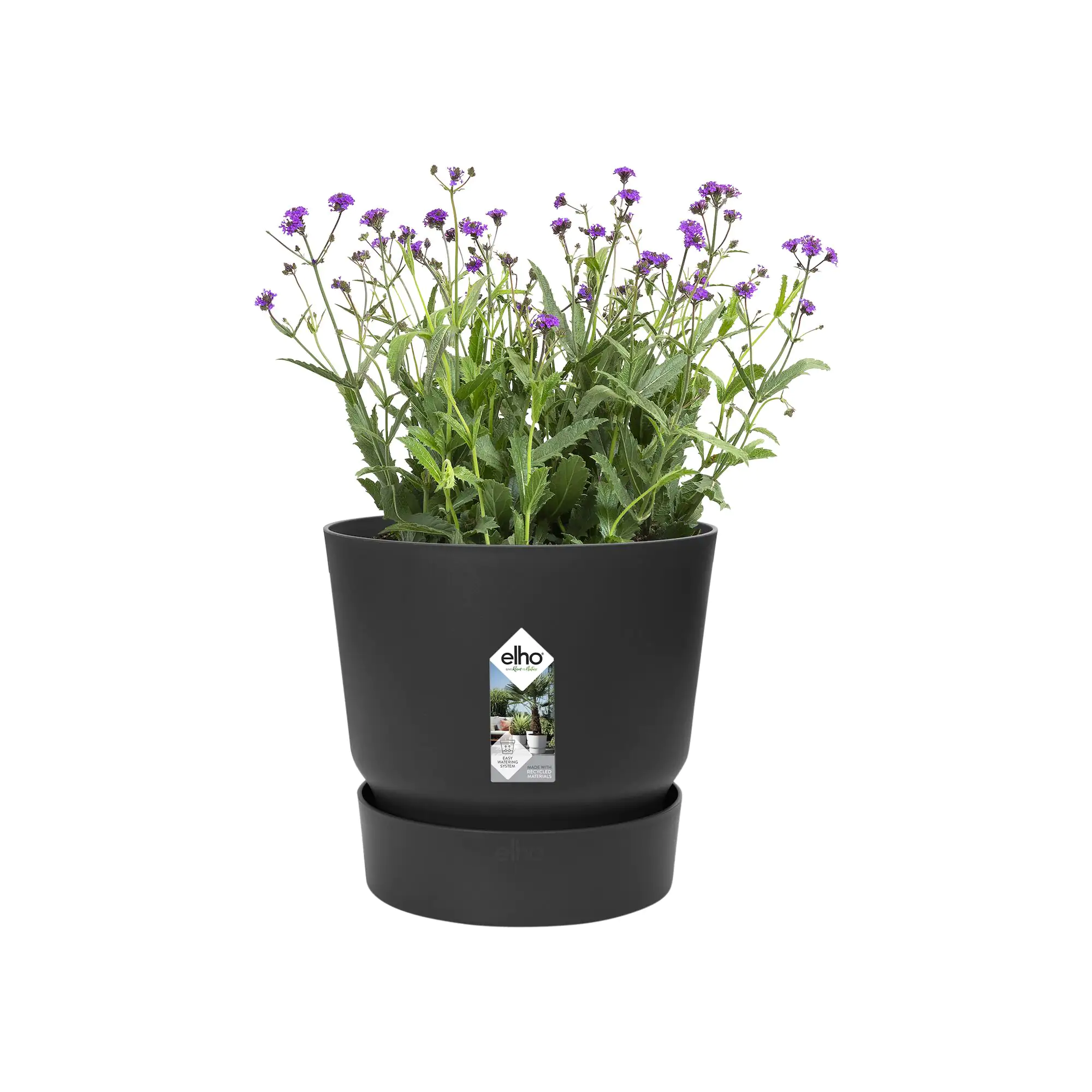 Elho Pflanztopf Greenville Ø 25 x 23 cm living schwarz
