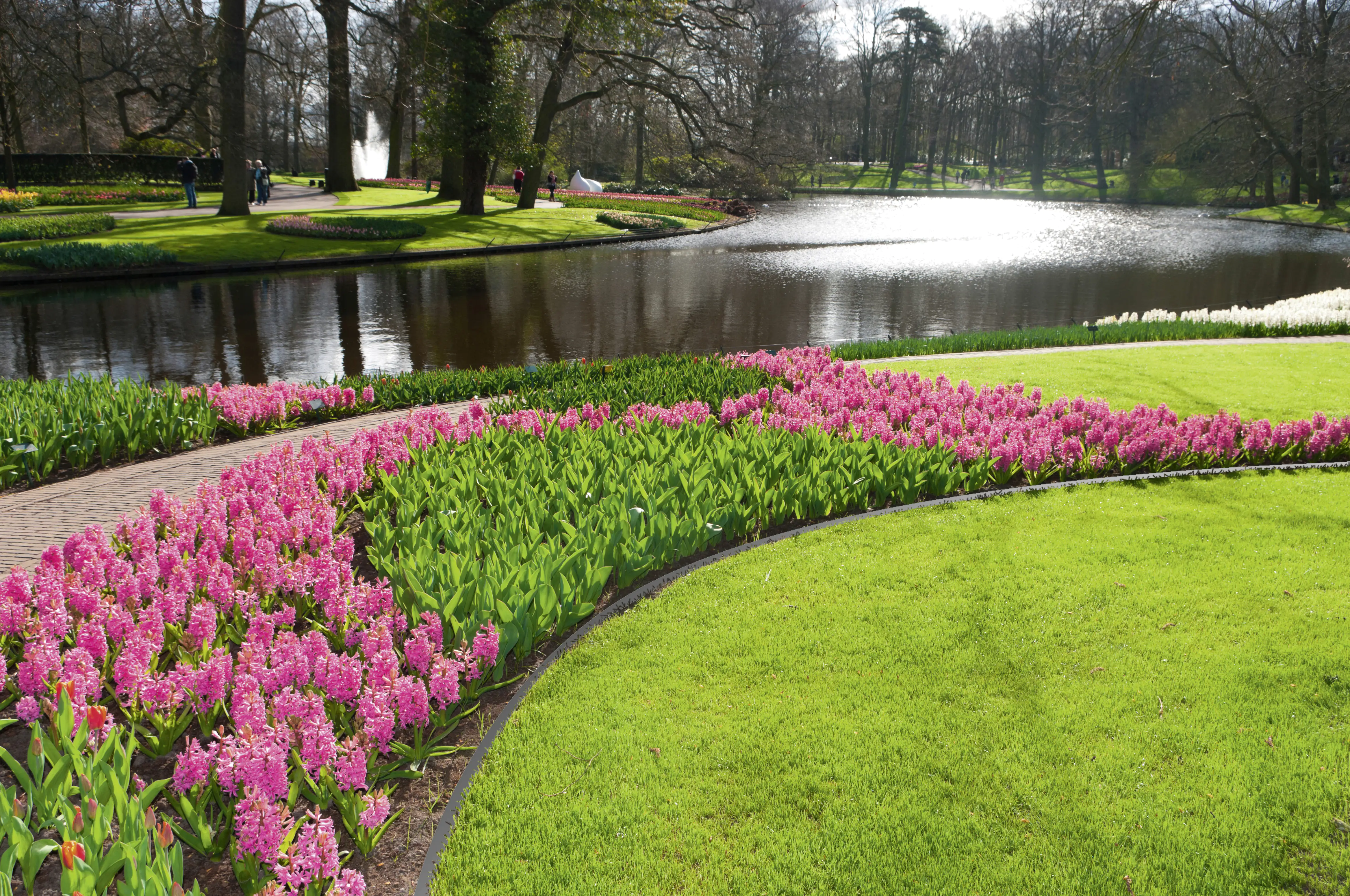 Premium Garden Wurzelsperre für Rasenkanten 10 m x 20 cm