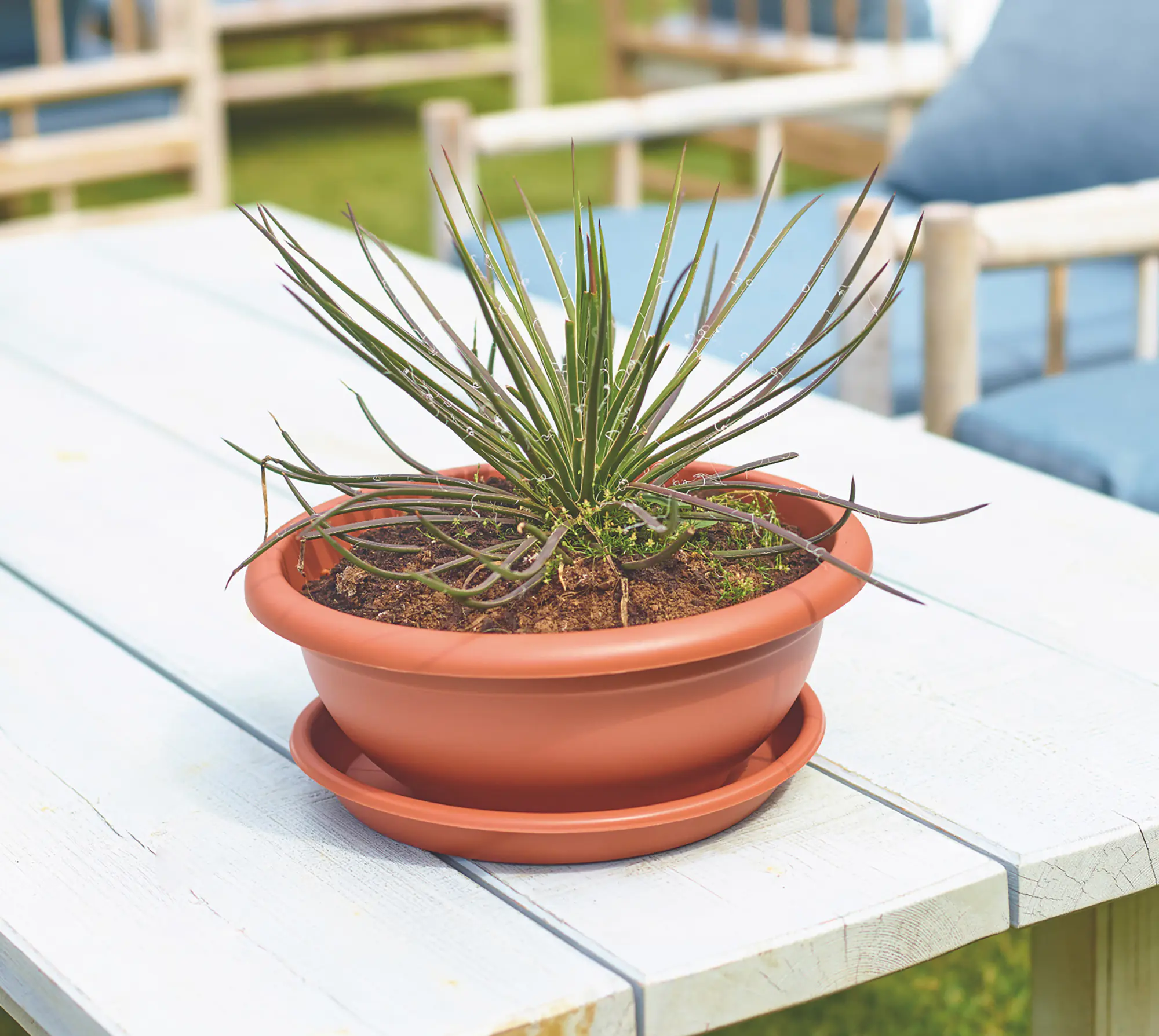 Artevasi Blumentopfuntersetzer Redondo Kunststoff rund terrakotta matt Ø 13 cm