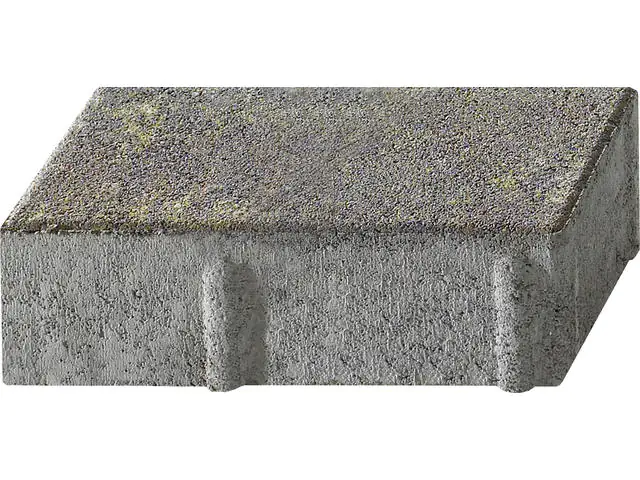 Kann Pflasterstein Rechteckpflaster 20 x 10 x 6 cm herbstbunt